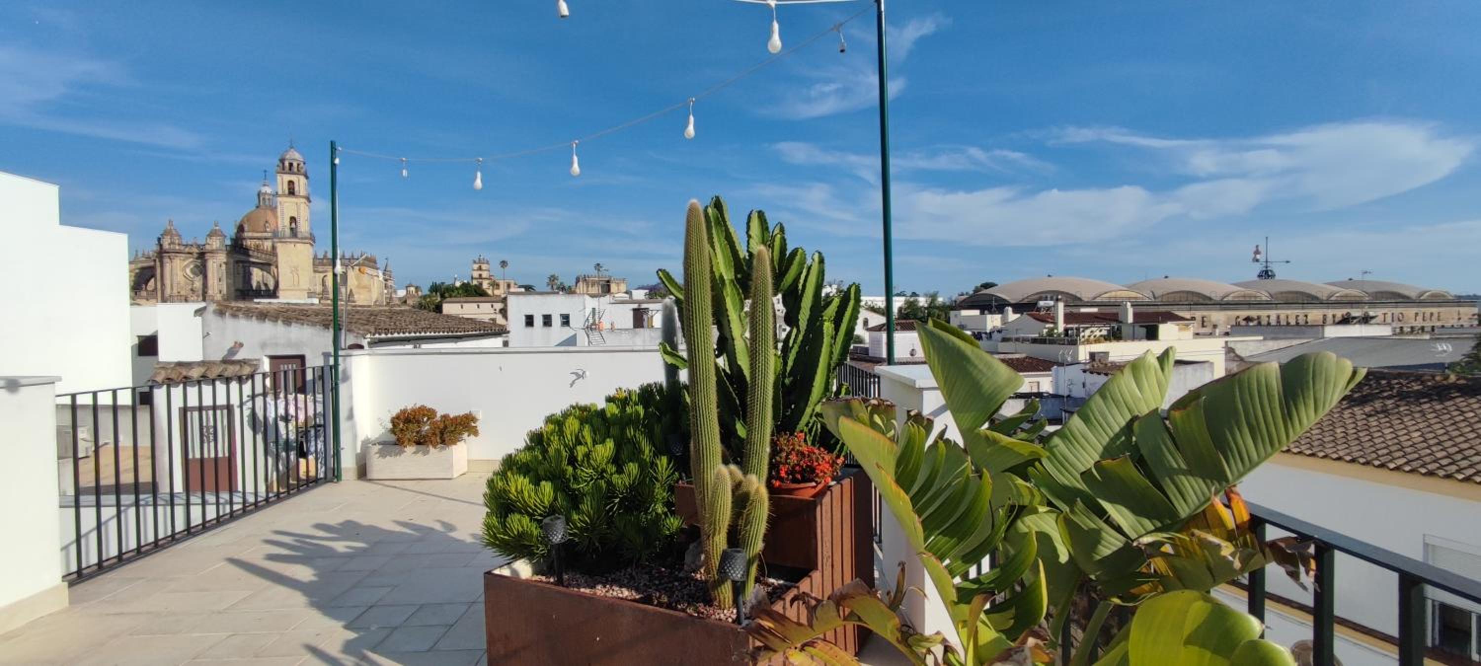 Palacio el Duende-Parking privado-terraza Vista Catedral old town