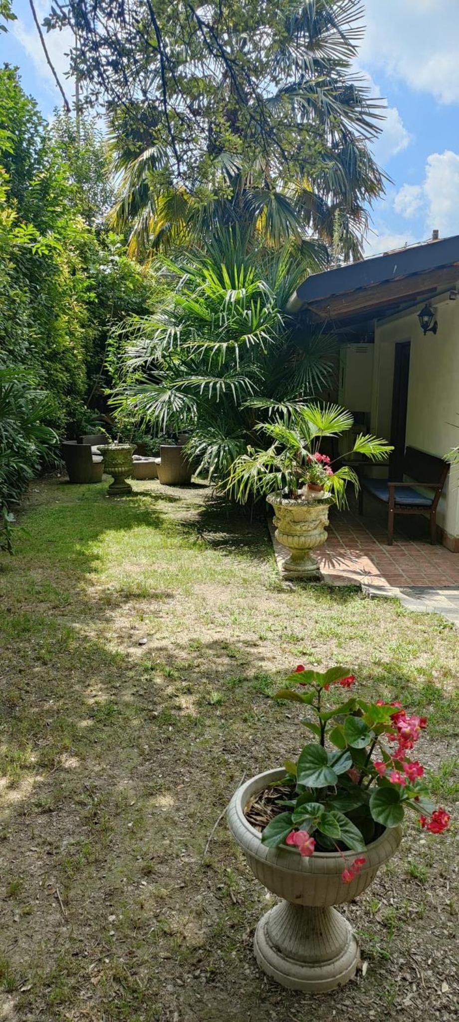 VillaLuigia - Oasi le Palme photo 2