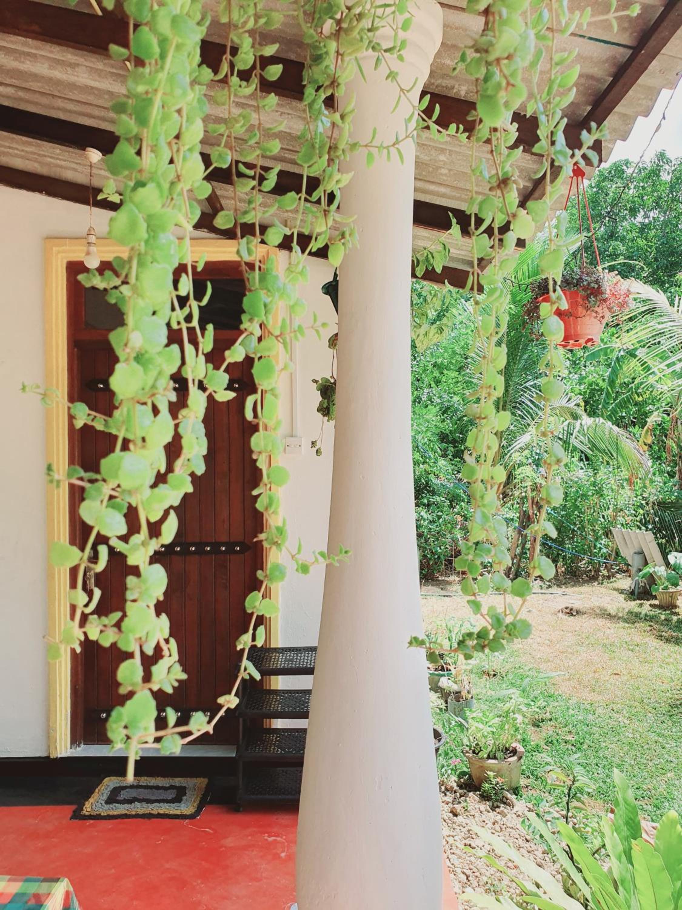 Sanu Home stay view 5