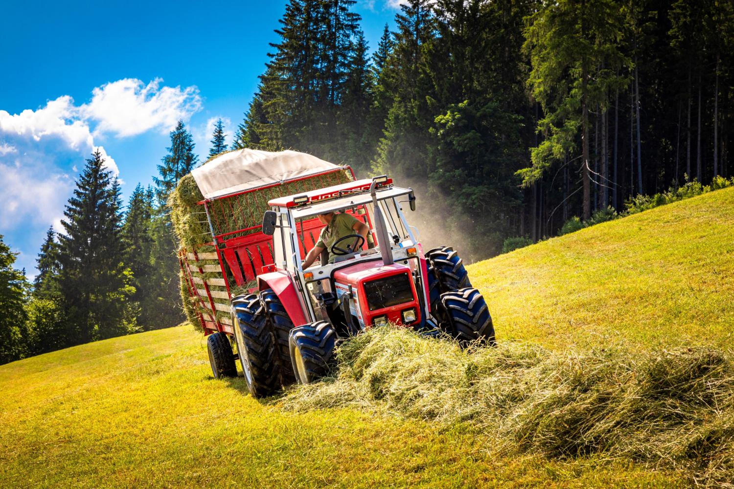 Gschwandtgut Urlaub am Bauernhof