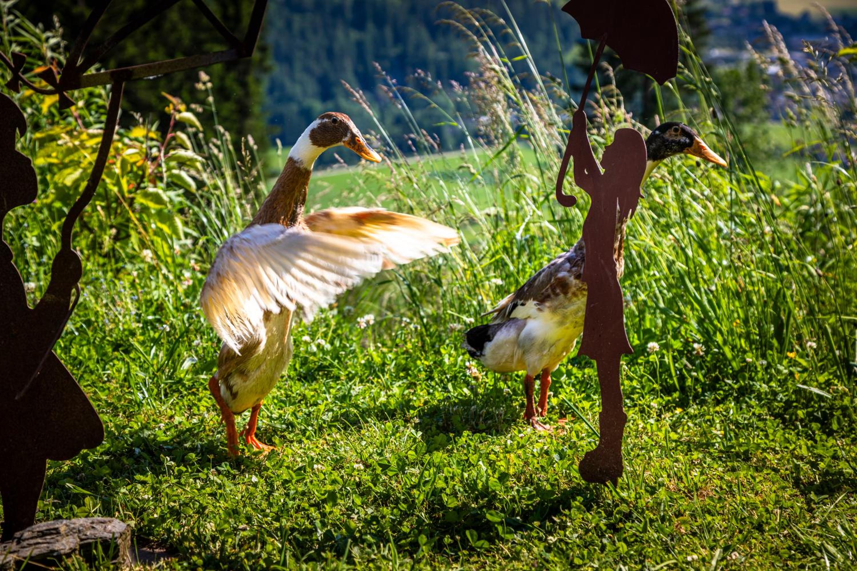 Gschwandtgut Urlaub am Bauernhof