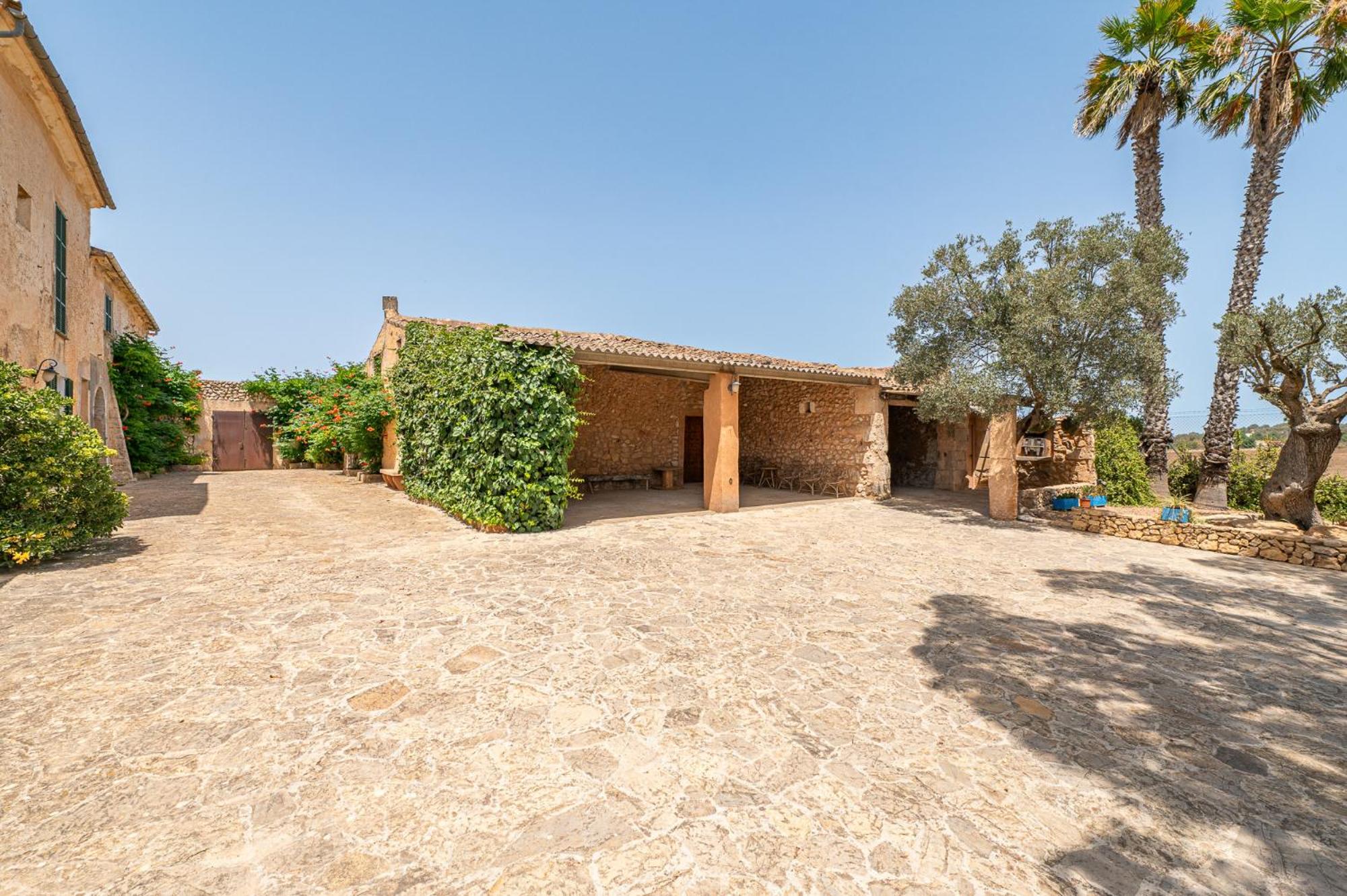 Son Suau Vell by Mallorca House Rent view 3