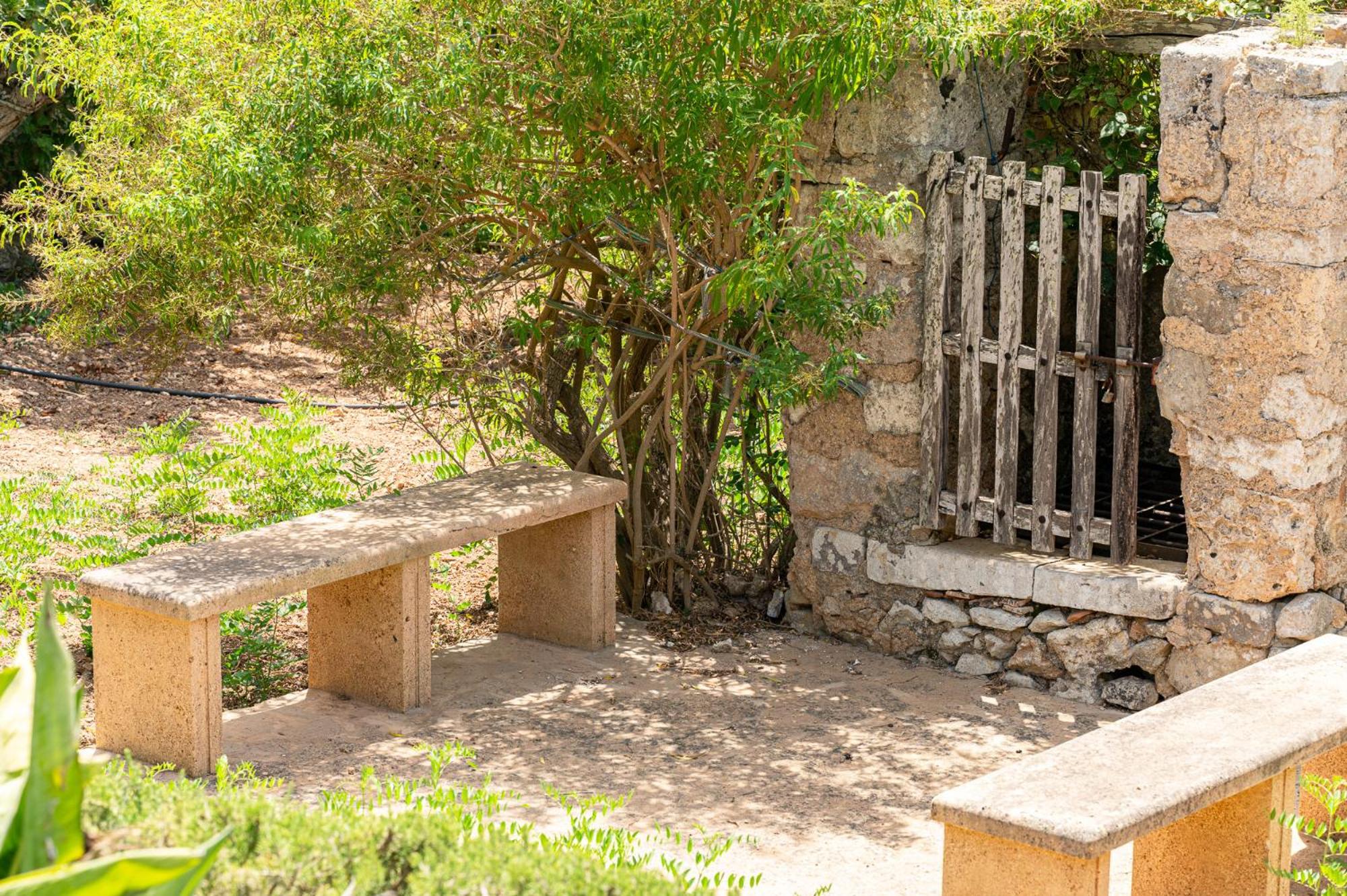 Son Suau Vell by Mallorca House Rent view 5