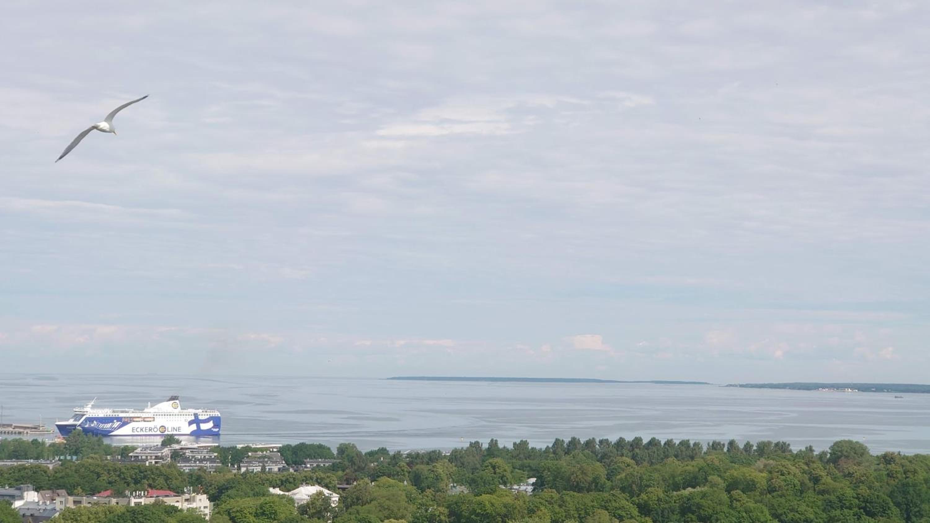 Tallinn under your eyes