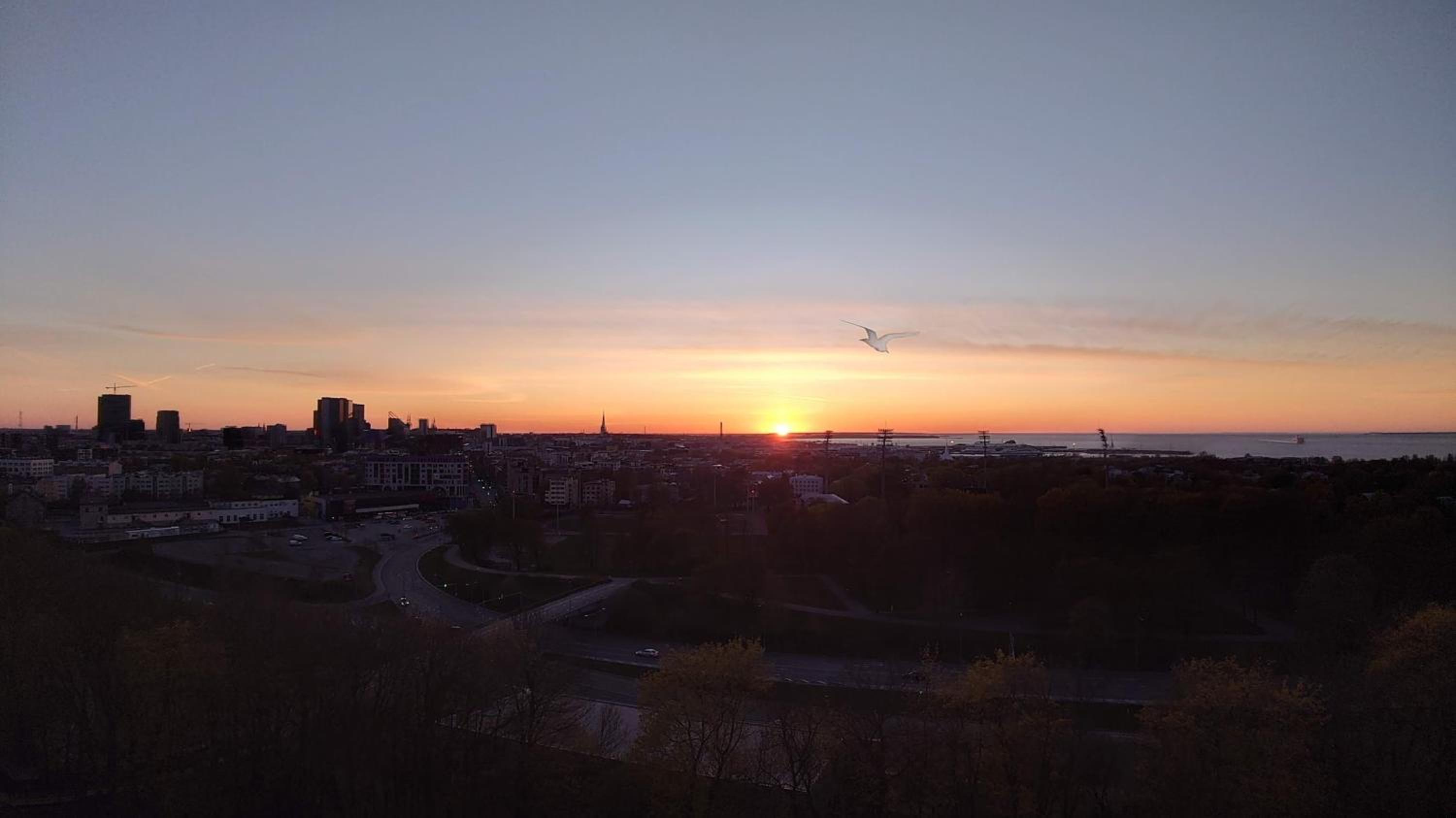 Tallinn under your eyes