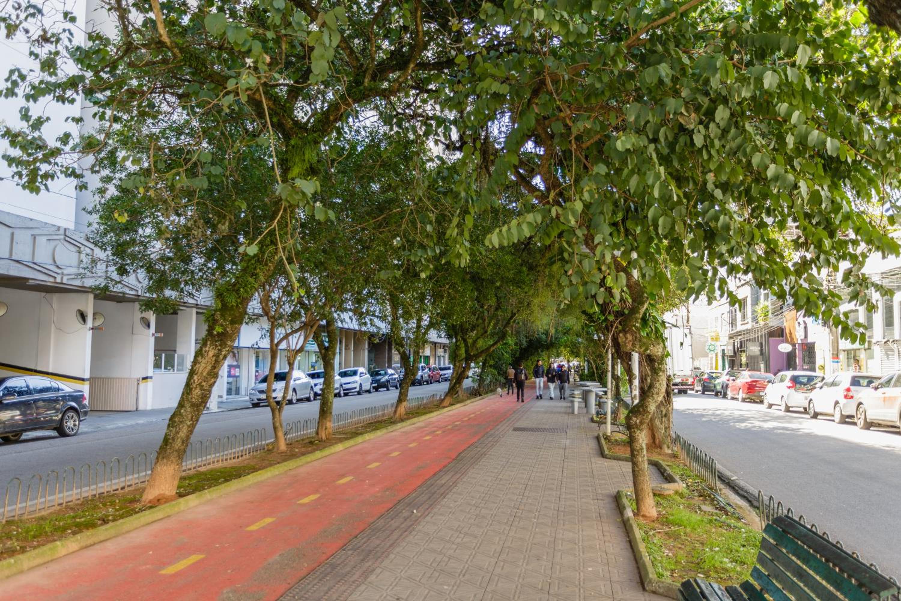 Ap Climatizado c/ Garagem na Av Hercílio LuzAV9086
