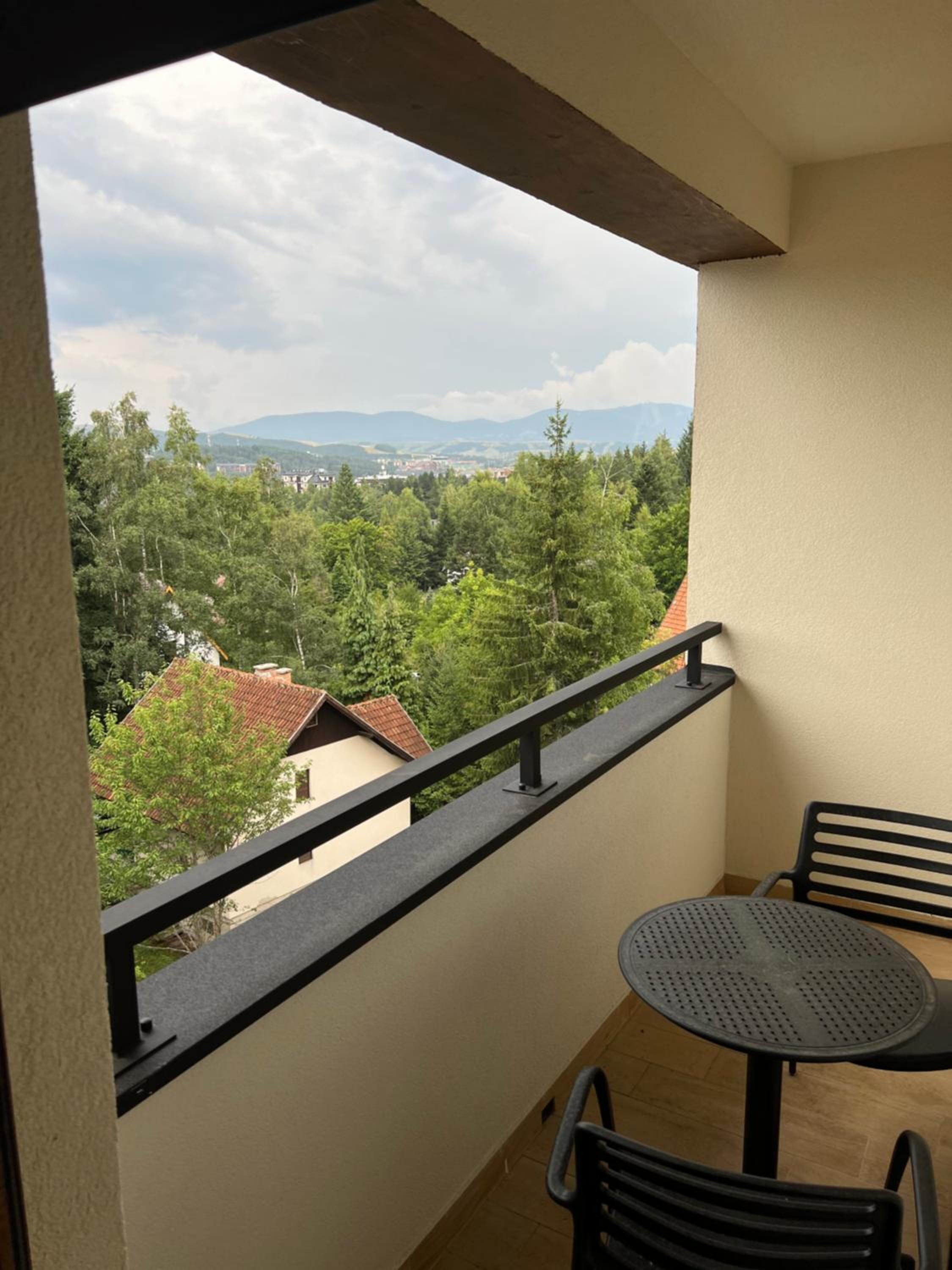 Prestige Forest Zlatibor view 4