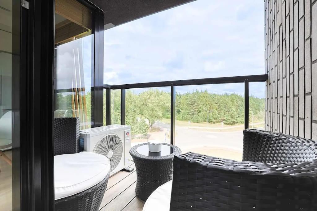 Palanga Vanagupe 60 APT & Balcony view 2