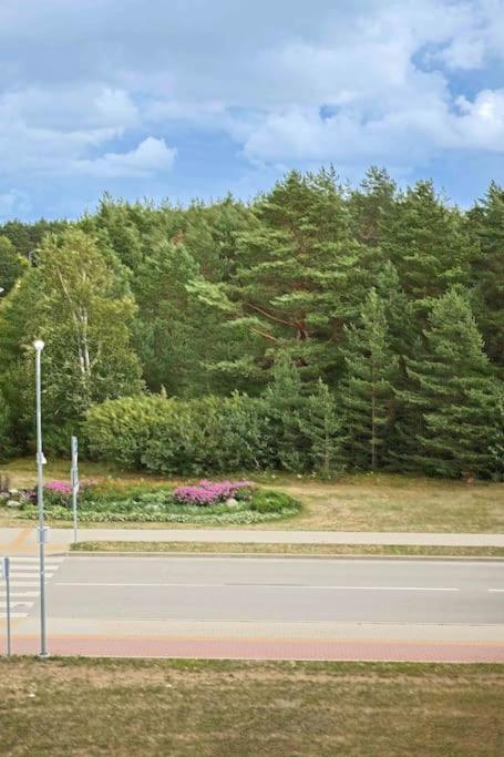 Palanga Vanagupe 60 APT & Balcony view 4