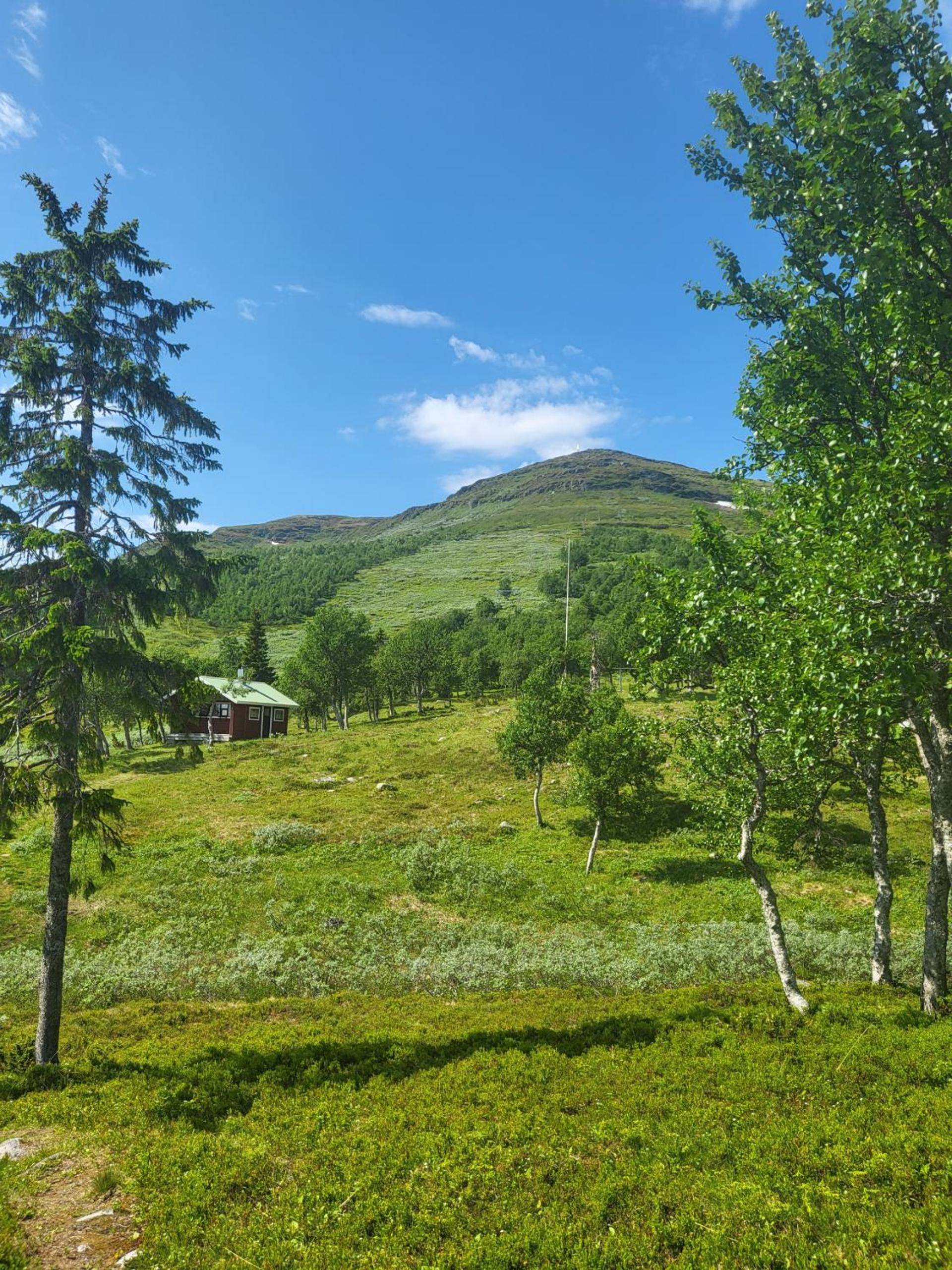 Dream Camp