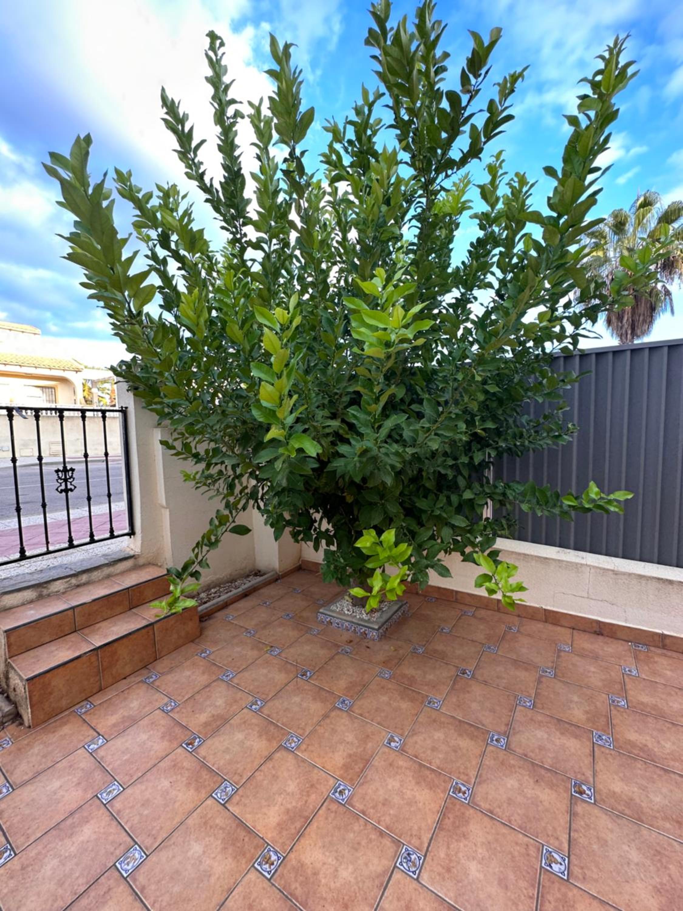 Golf residence Catalina - Las Ramblas view 5