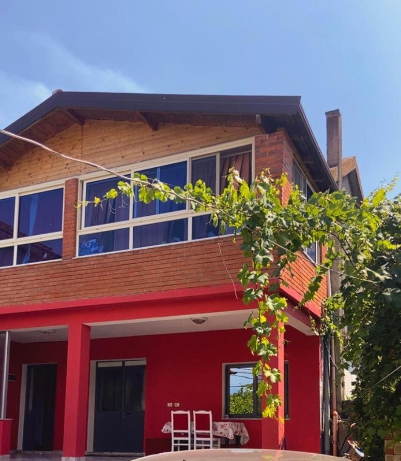 The Two Princesses photo 3