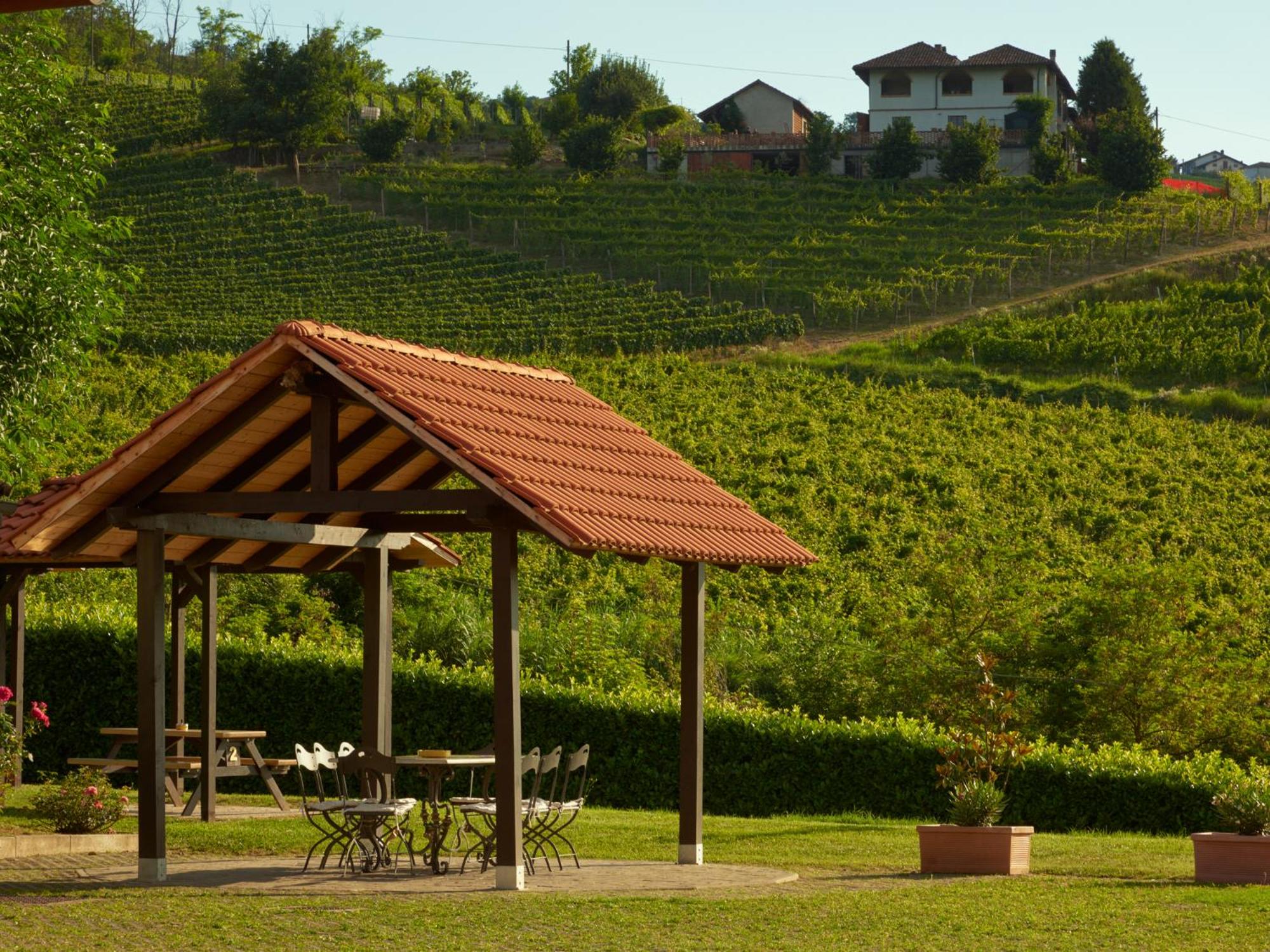 Vigna Dell'Acqua