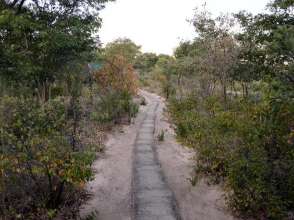 Photo 21