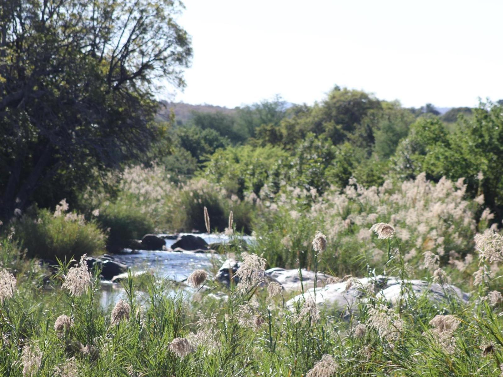 Ekuthuleni River Front Chalets Hoedspruit