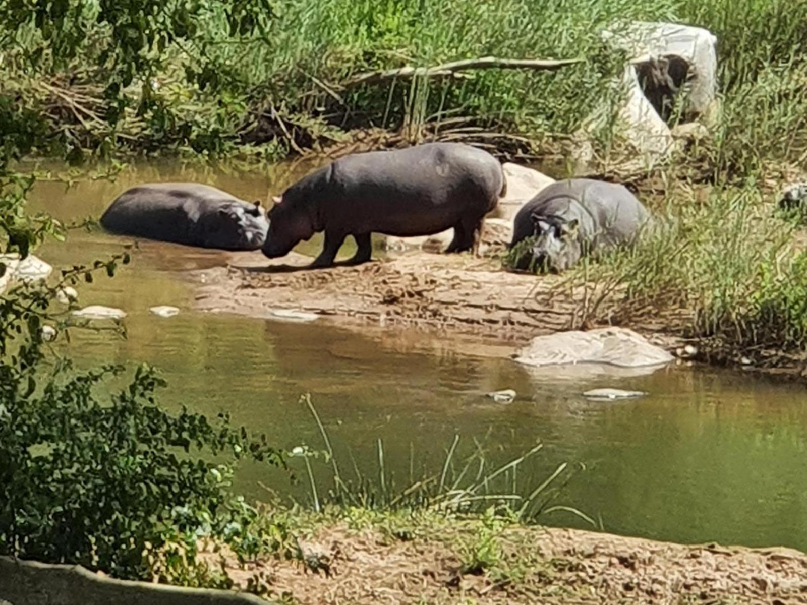 Ekuthuleni River Front Chalets Hoedspruit