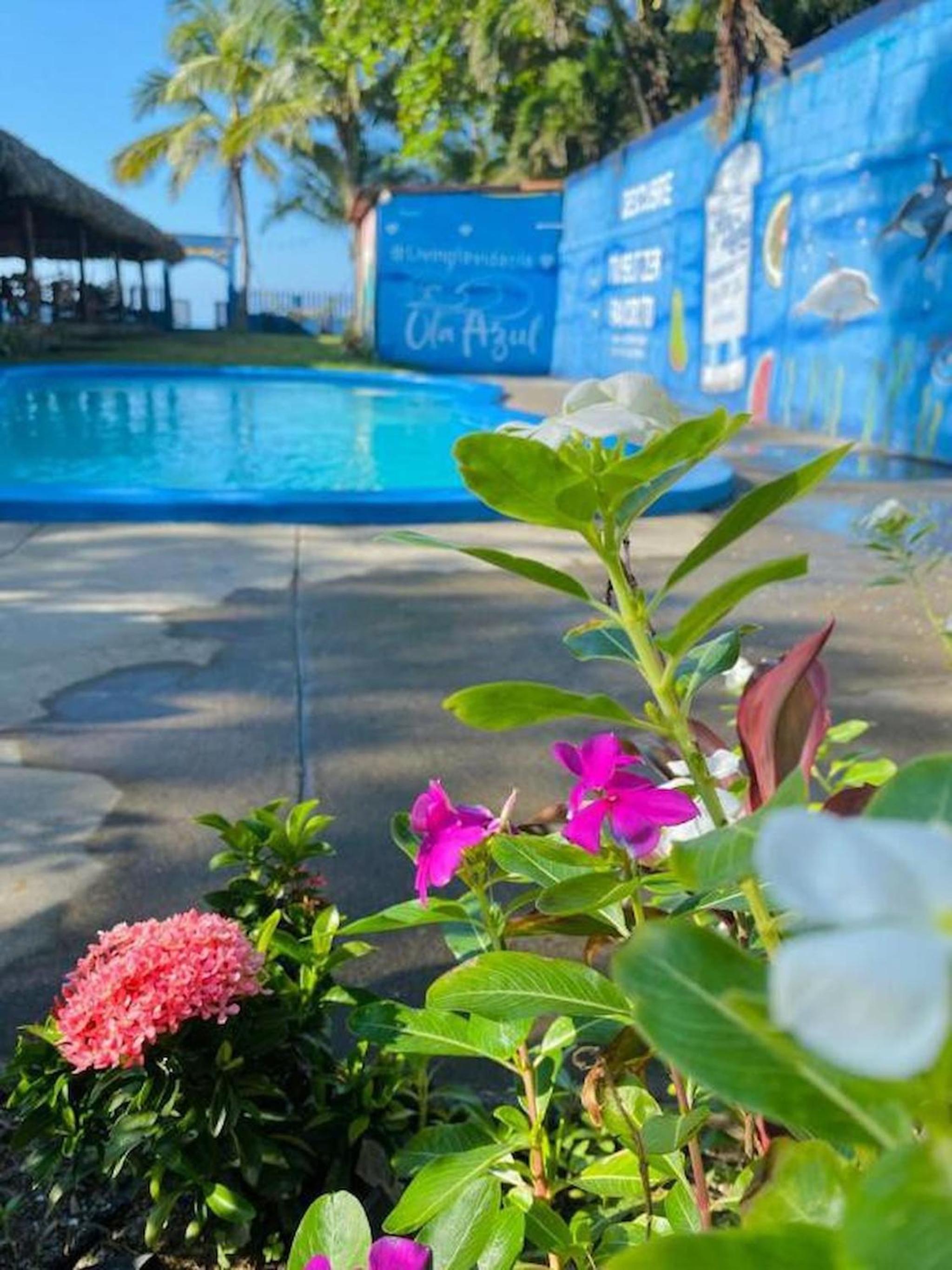 Room in Cabin - Beach Cabana Breakfast And Pool