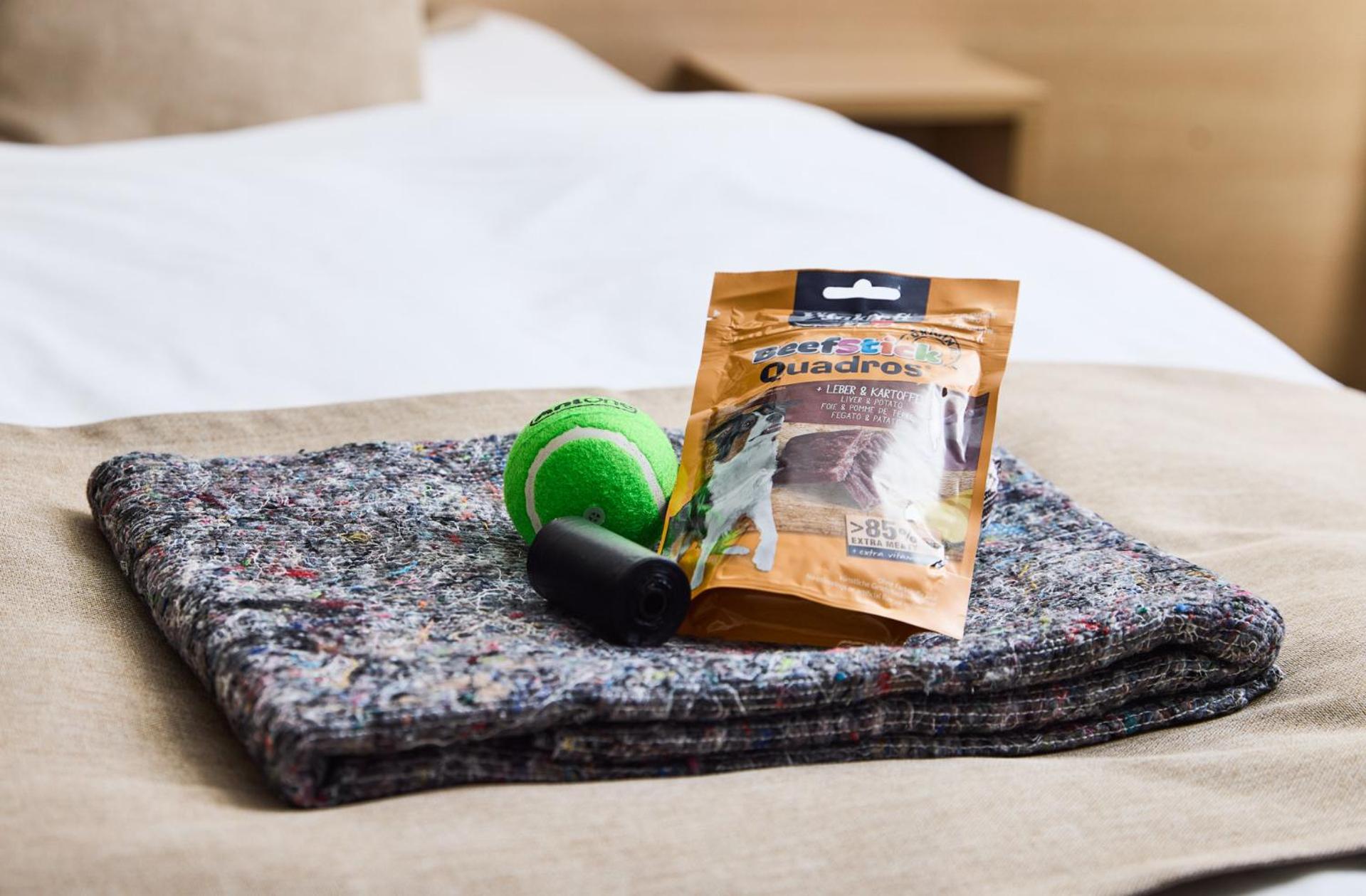 Odense Vacations - Best Western Plus Hotel Odense - Property Image 40