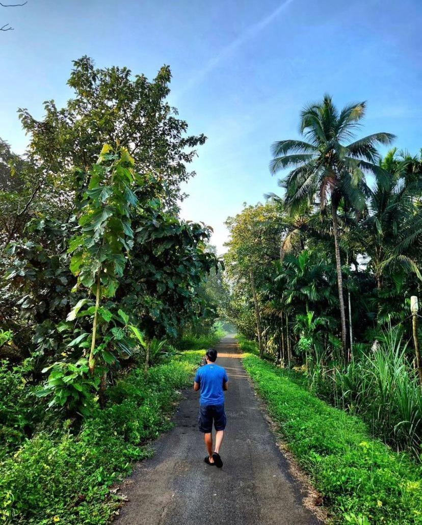 The Postcard Hideaway, Netravali Wildlife Sanctuary, South Goa