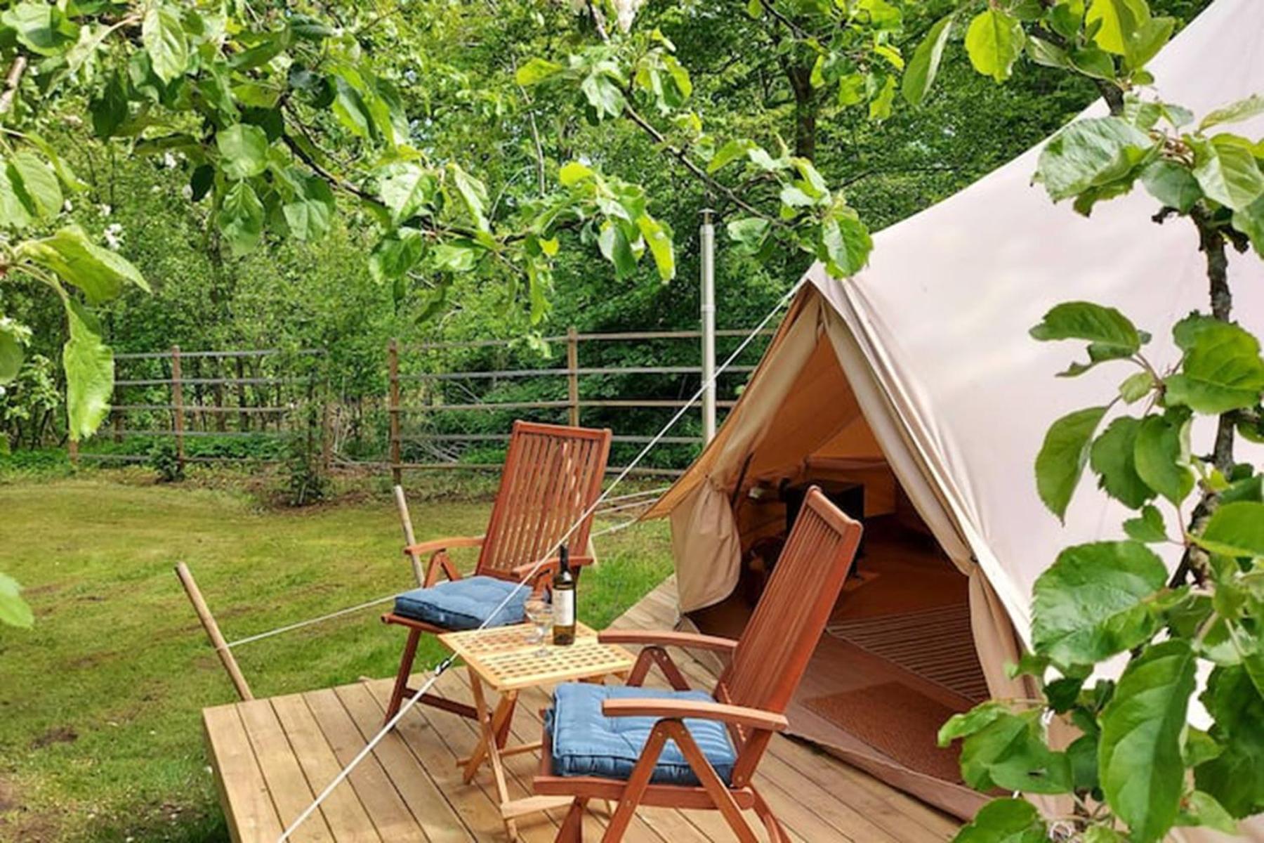 Luxury camping experience
