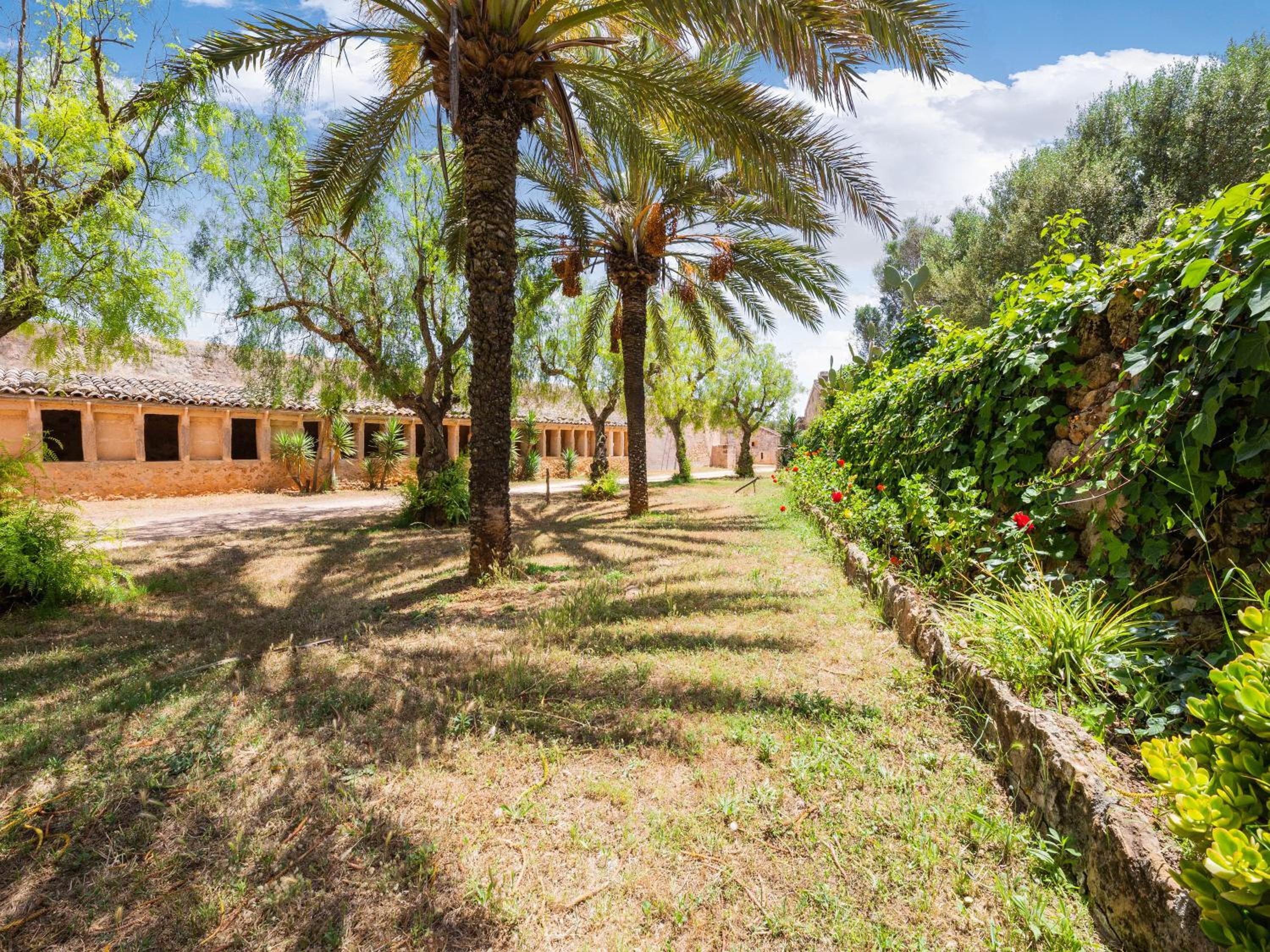 Possessio Sa Barrala Casa del Señor photo 5