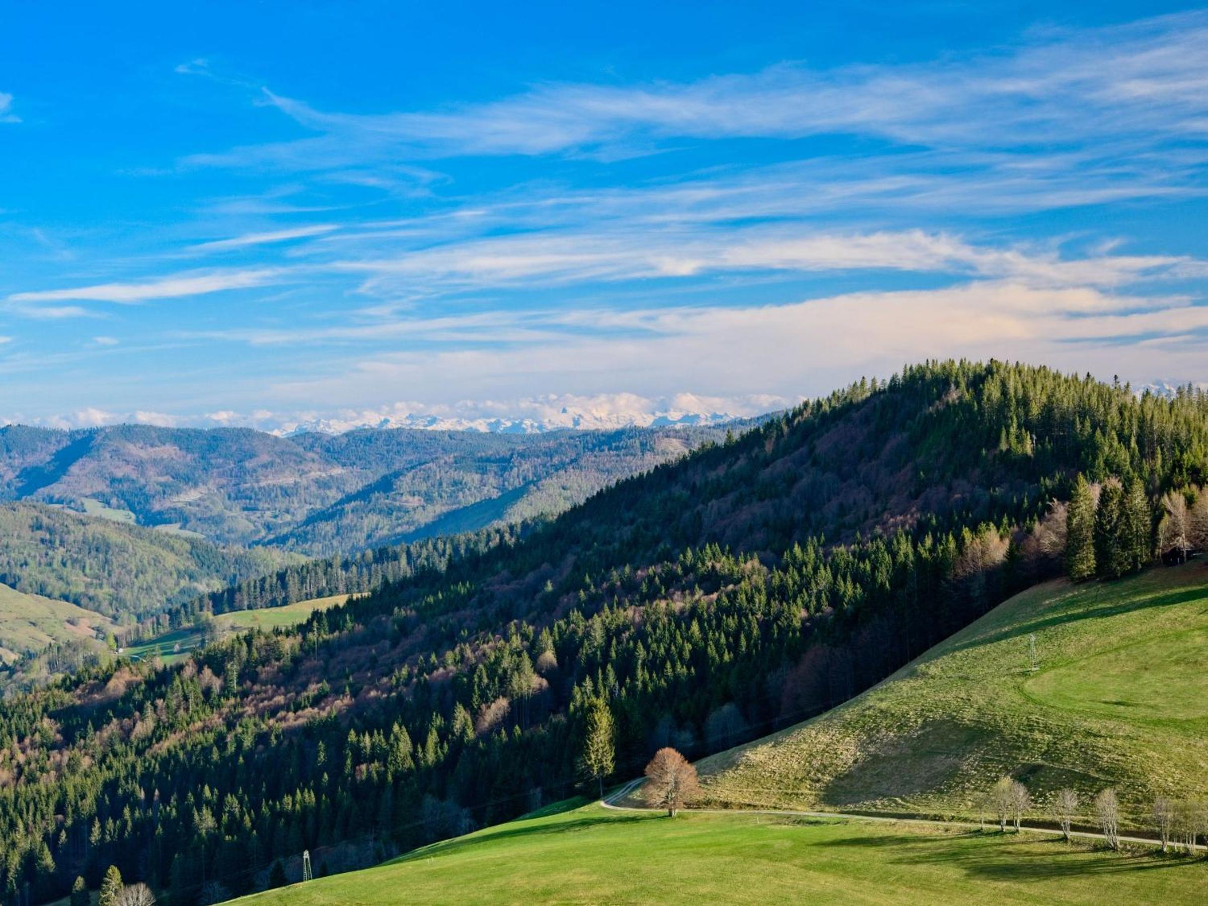 Fidelis-Bühl Muggenbrunn