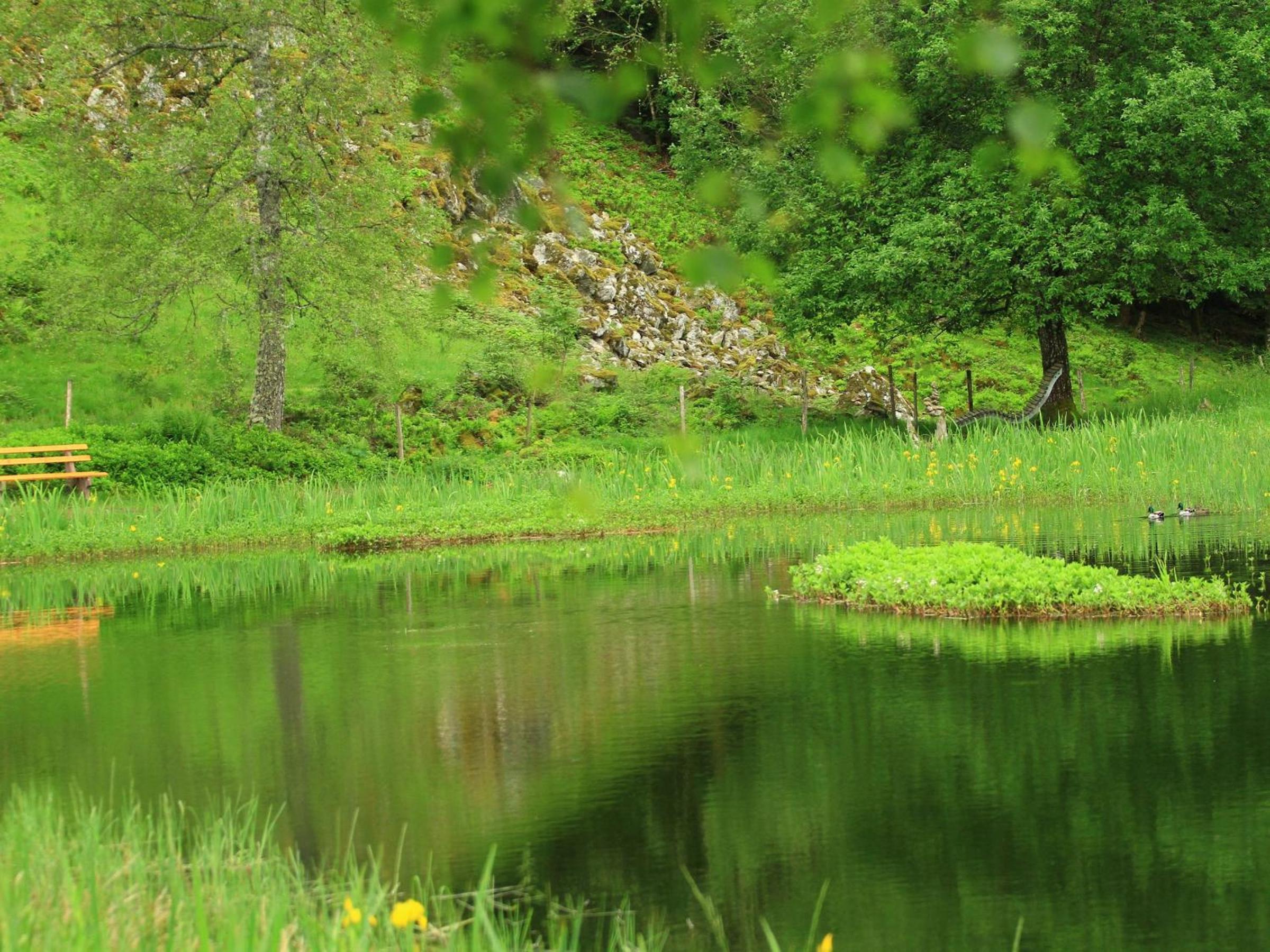 Fidelis-Bühl Muggenbrunn