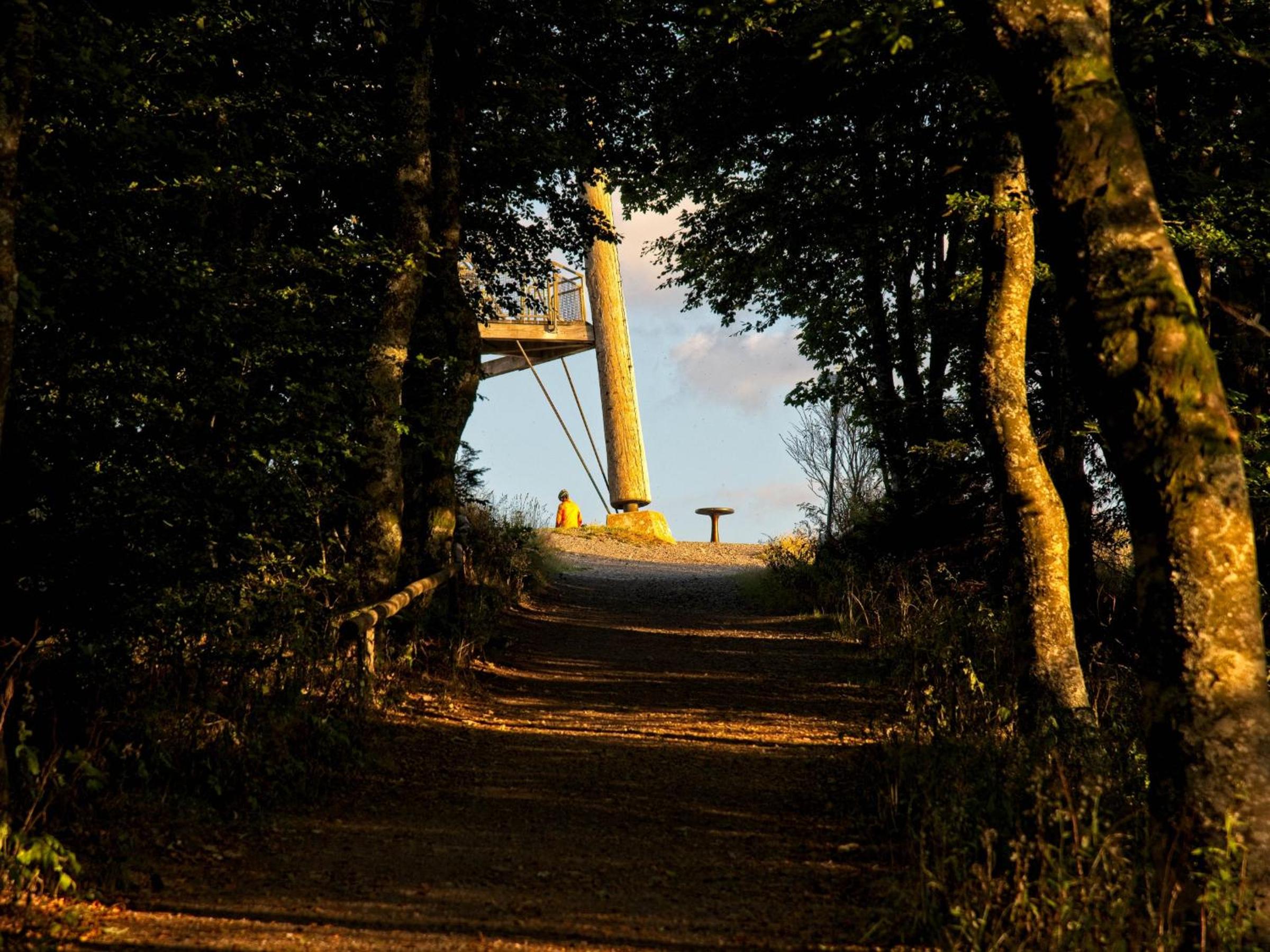 Fidelis-Bühl Muggenbrunn
