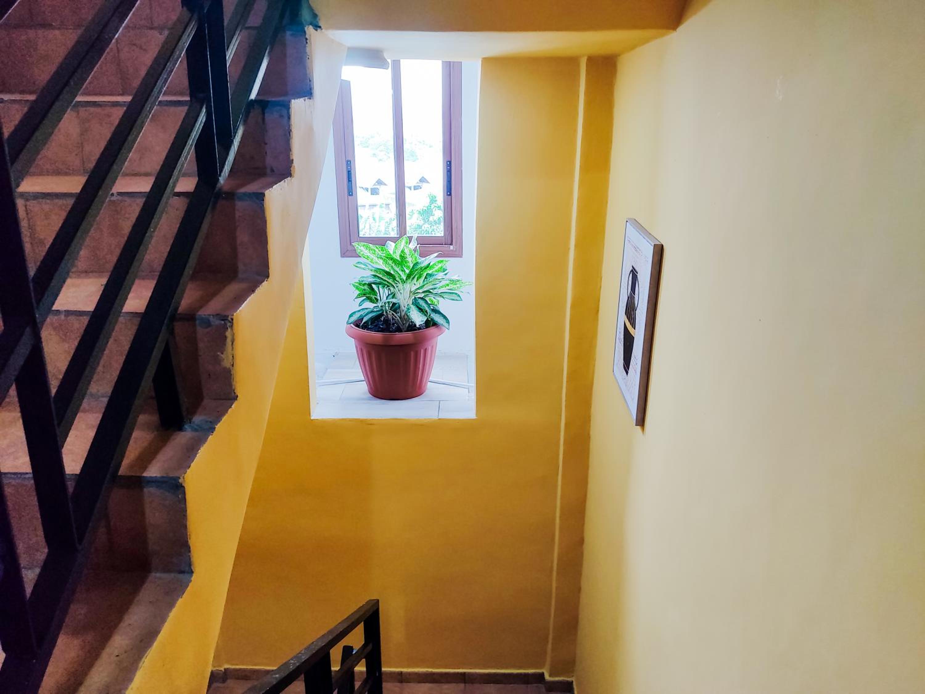 SAWA BANTÚ Home
