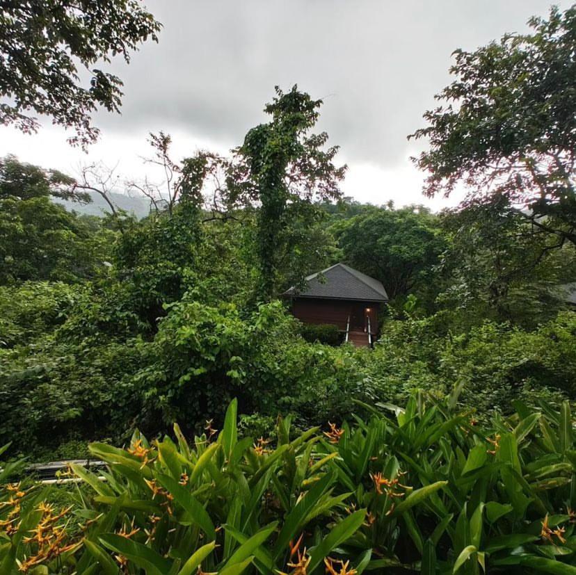 The Postcard Hideaway, Netravali Wildlife Sanctuary, South Goa