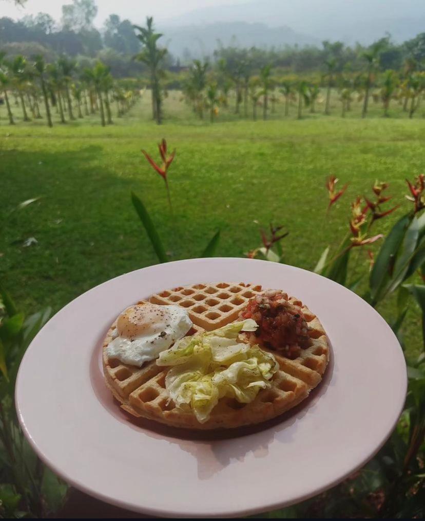 The Postcard Hideaway, Netravali Wildlife Sanctuary, South Goa