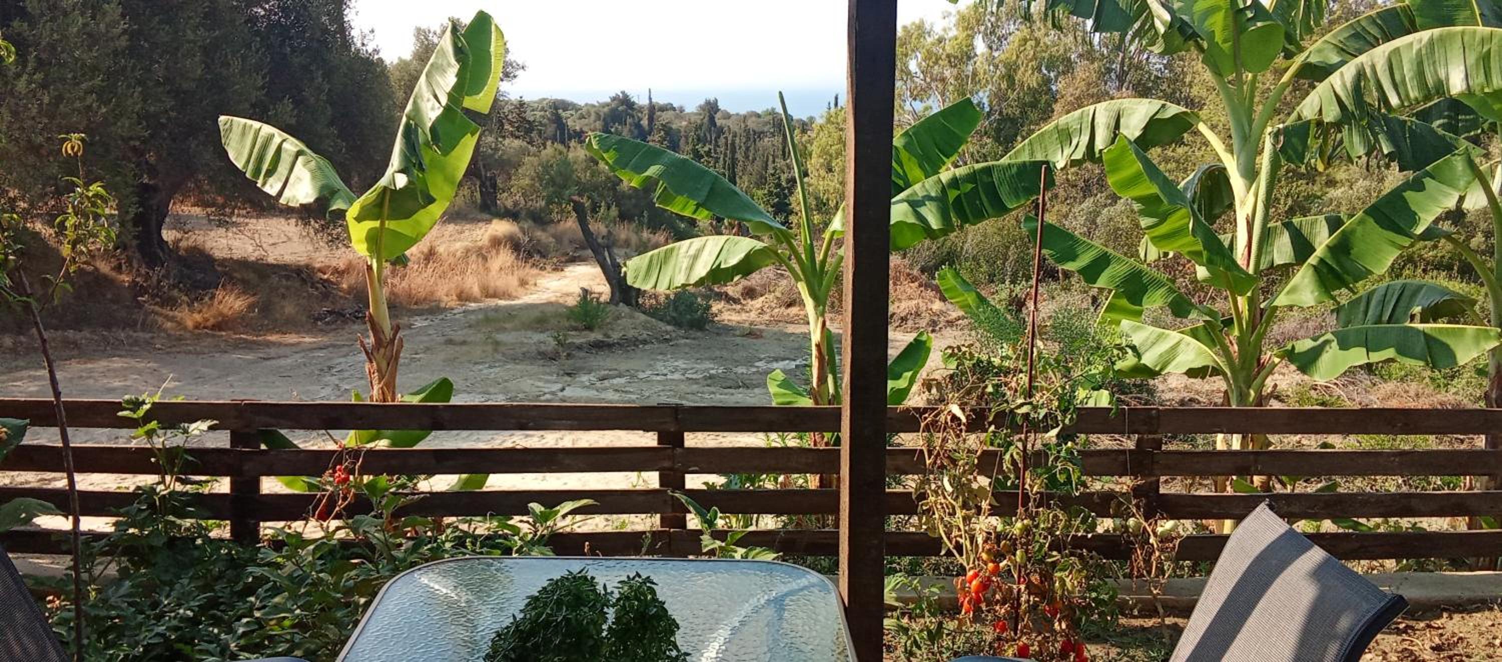 Mediterranean Studio Ratzakli