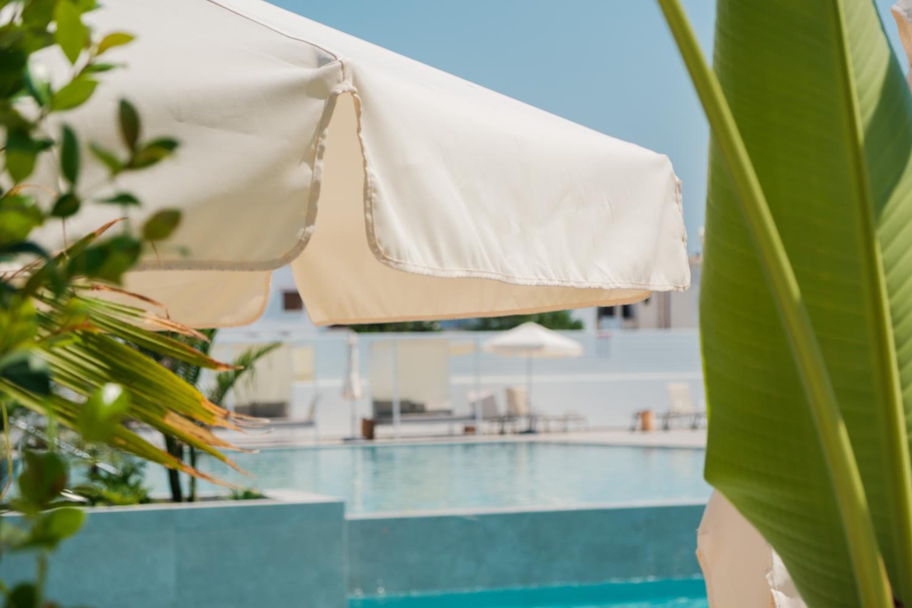 Abacus Suites