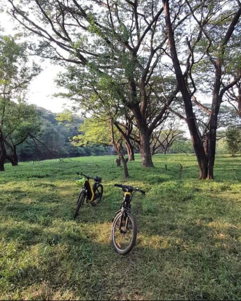 The Postcard Hideaway, Netravali Wildlife Sanctuary, South Goa