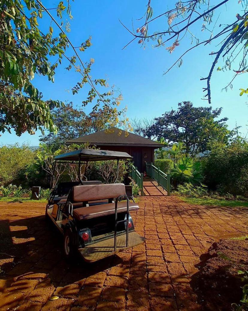 The Postcard Hideaway, Netravali Wildlife Sanctuary, South Goa