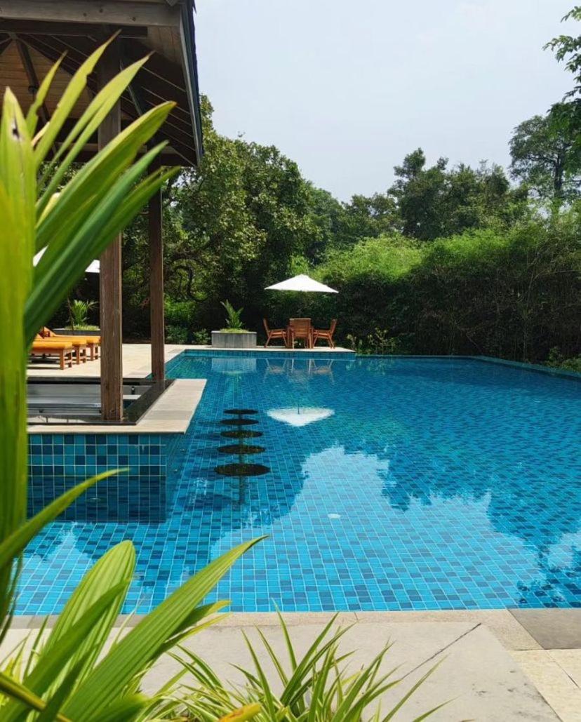 The Postcard Hideaway, Netravali Wildlife Sanctuary, South Goa
