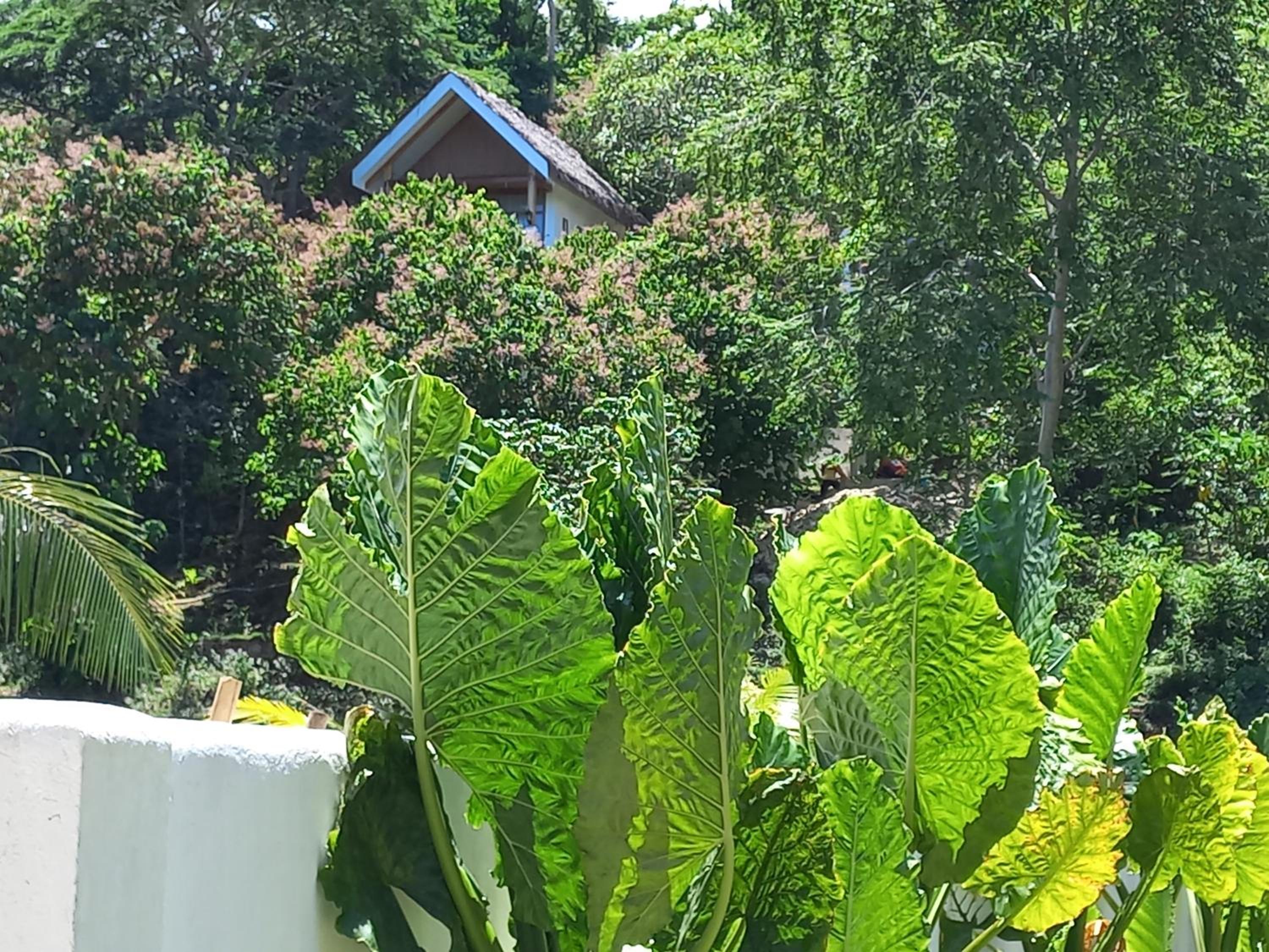MHARI Bungalows and Rooms