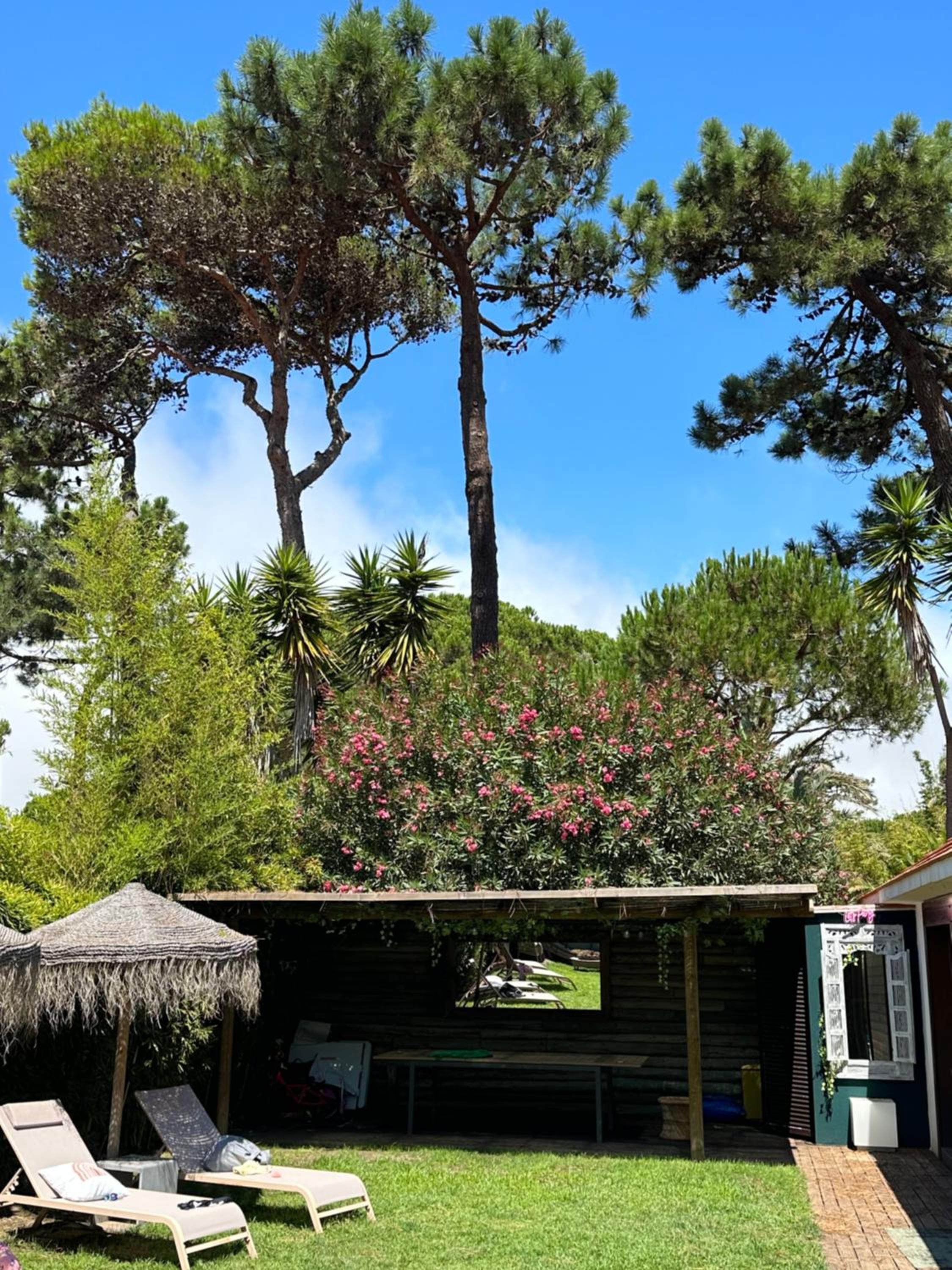 Lux Quinta da Marinha view 2