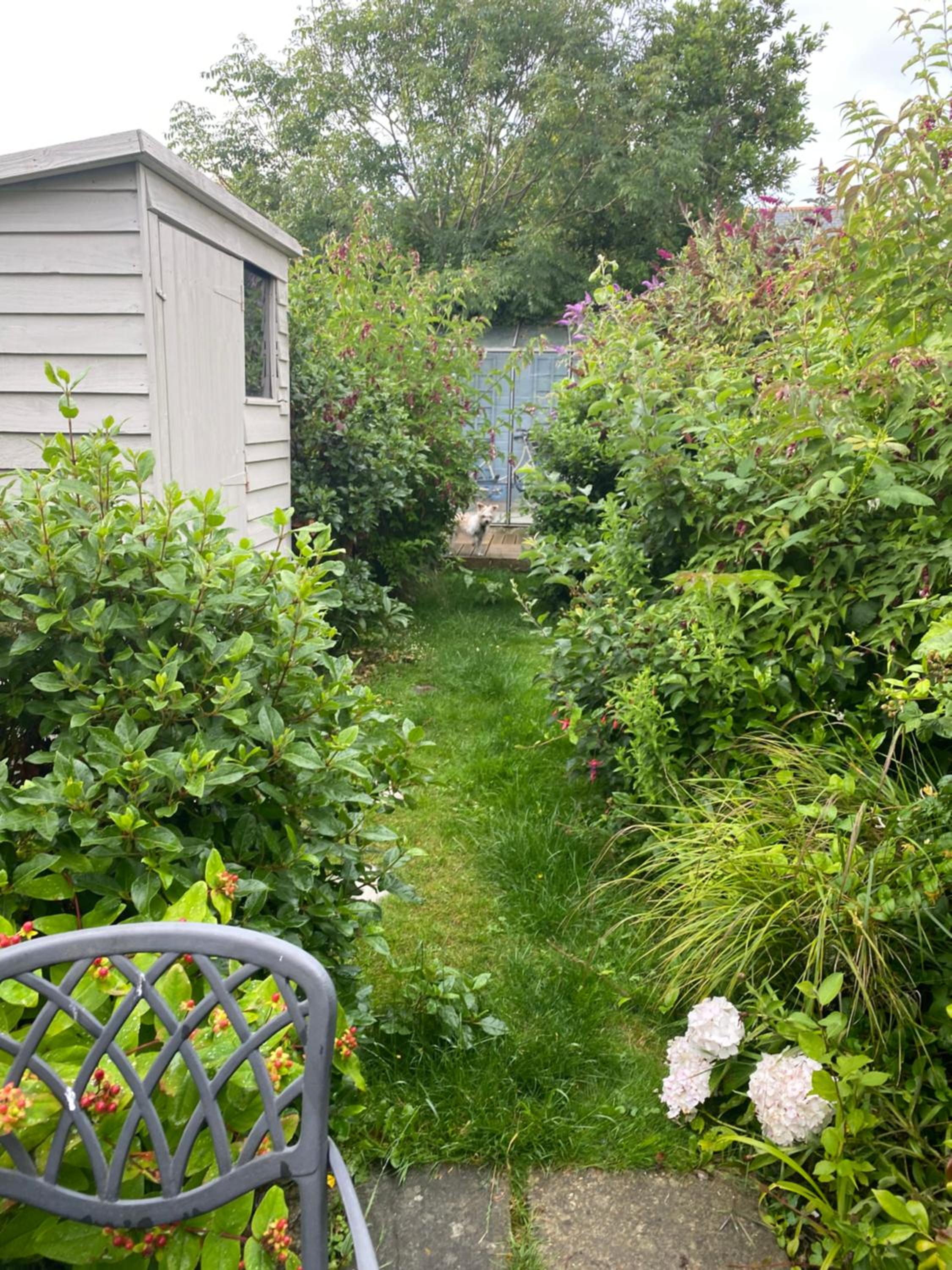 Photo 29