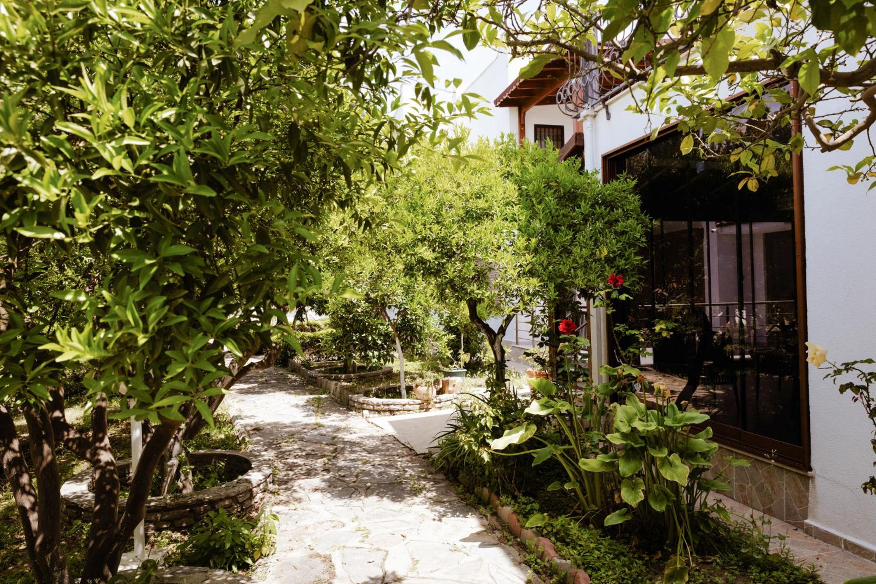Photo 22