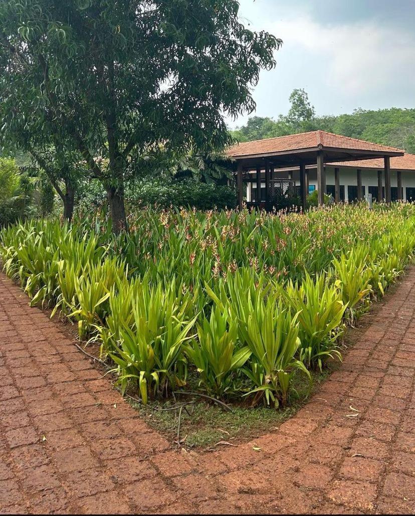 The Postcard Hideaway, Netravali Wildlife Sanctuary, South Goa
