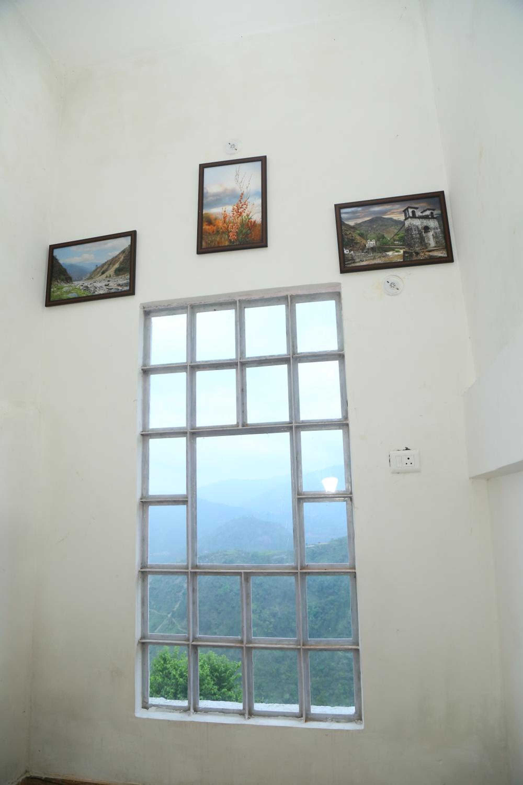 Photo 48