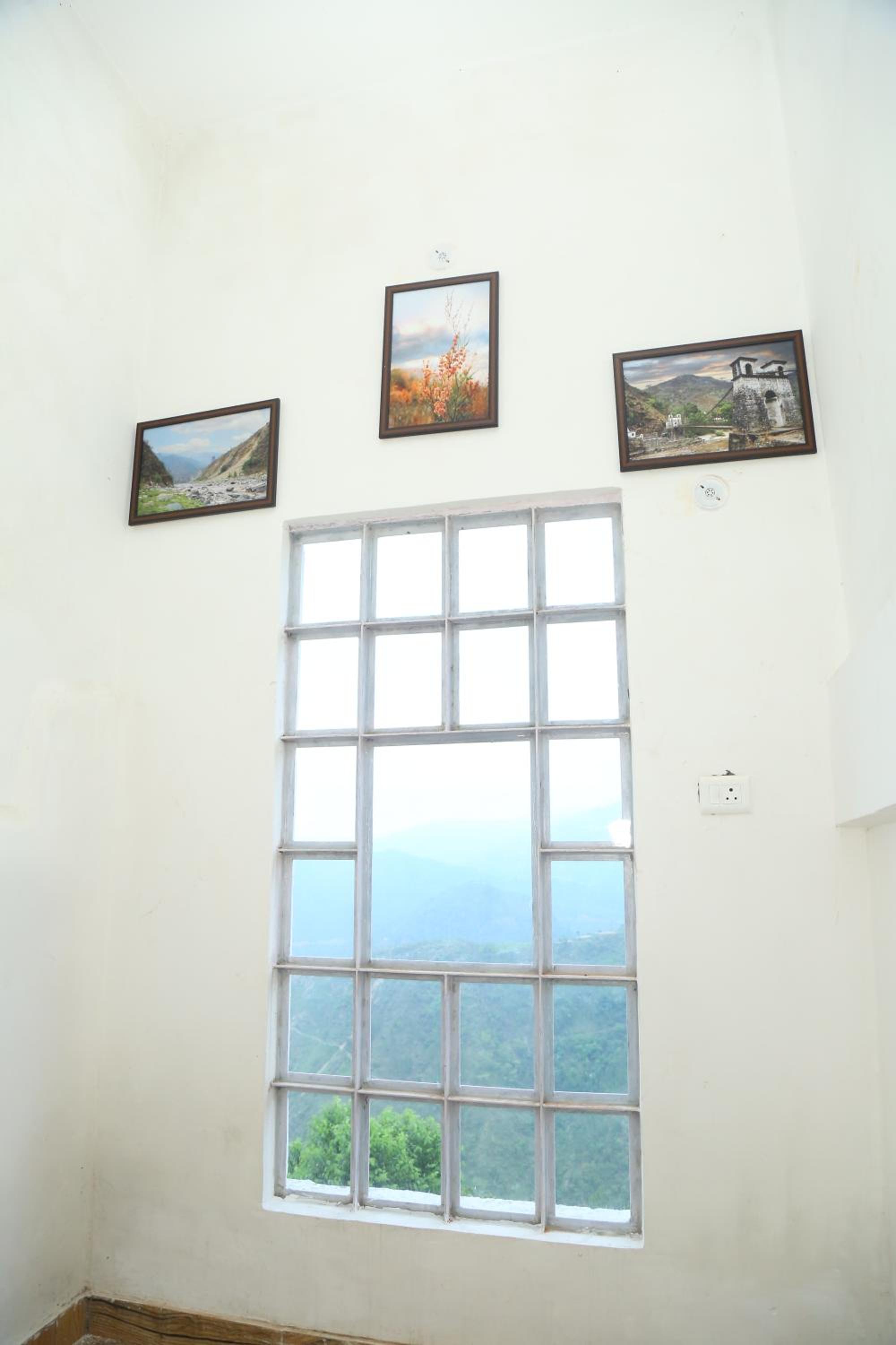 Photo 50