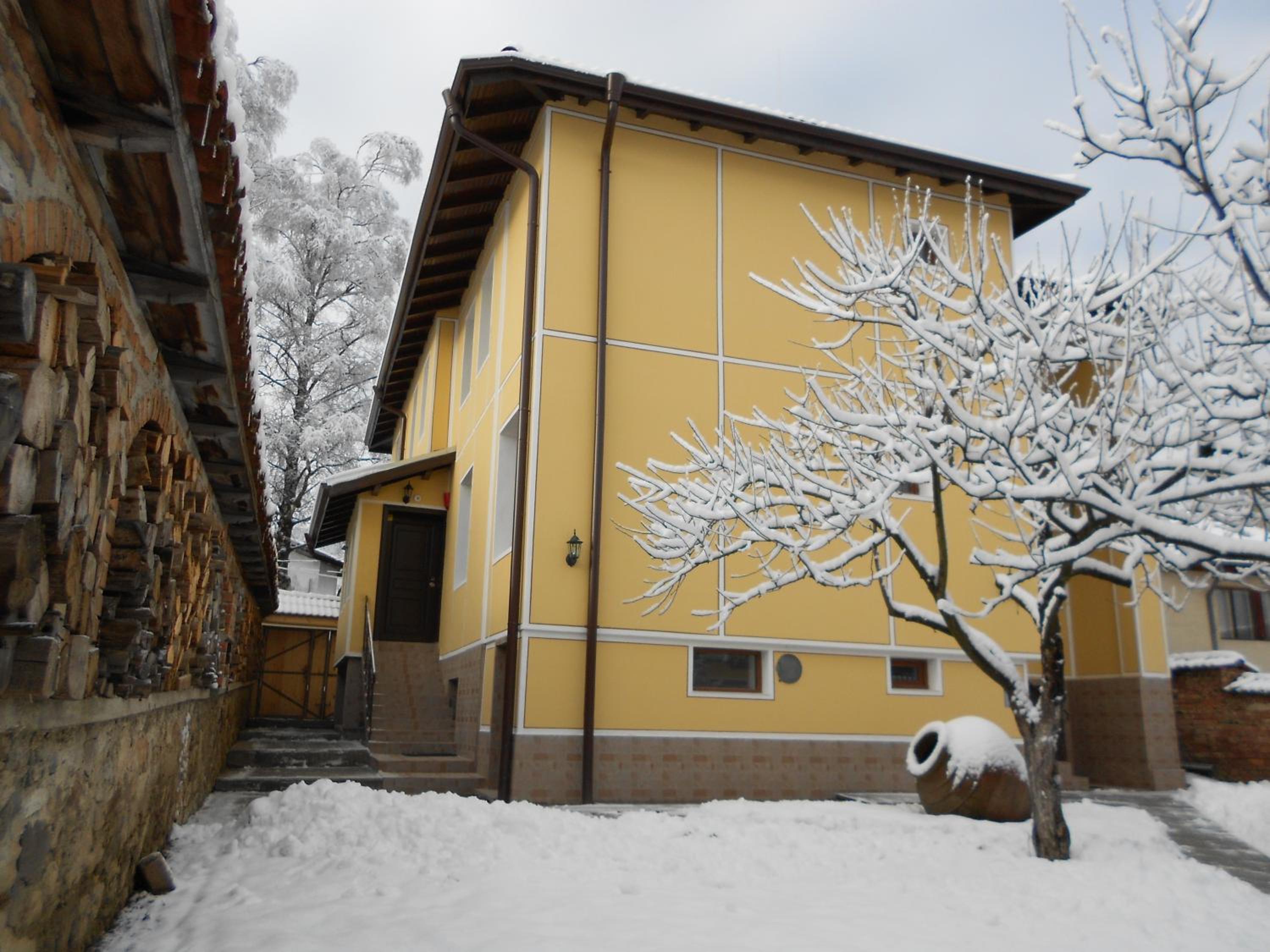 Guest House Tsenovi