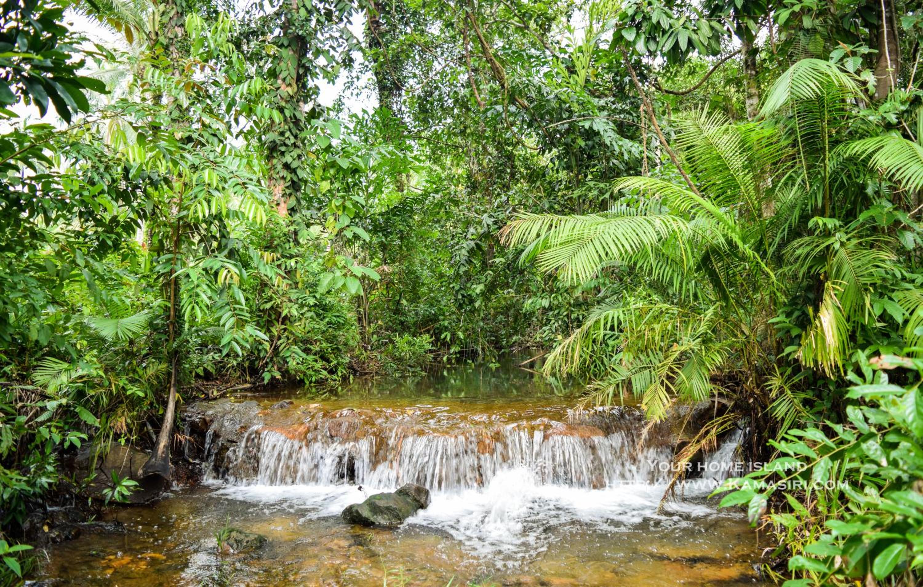 Kama Siri Koh Kood