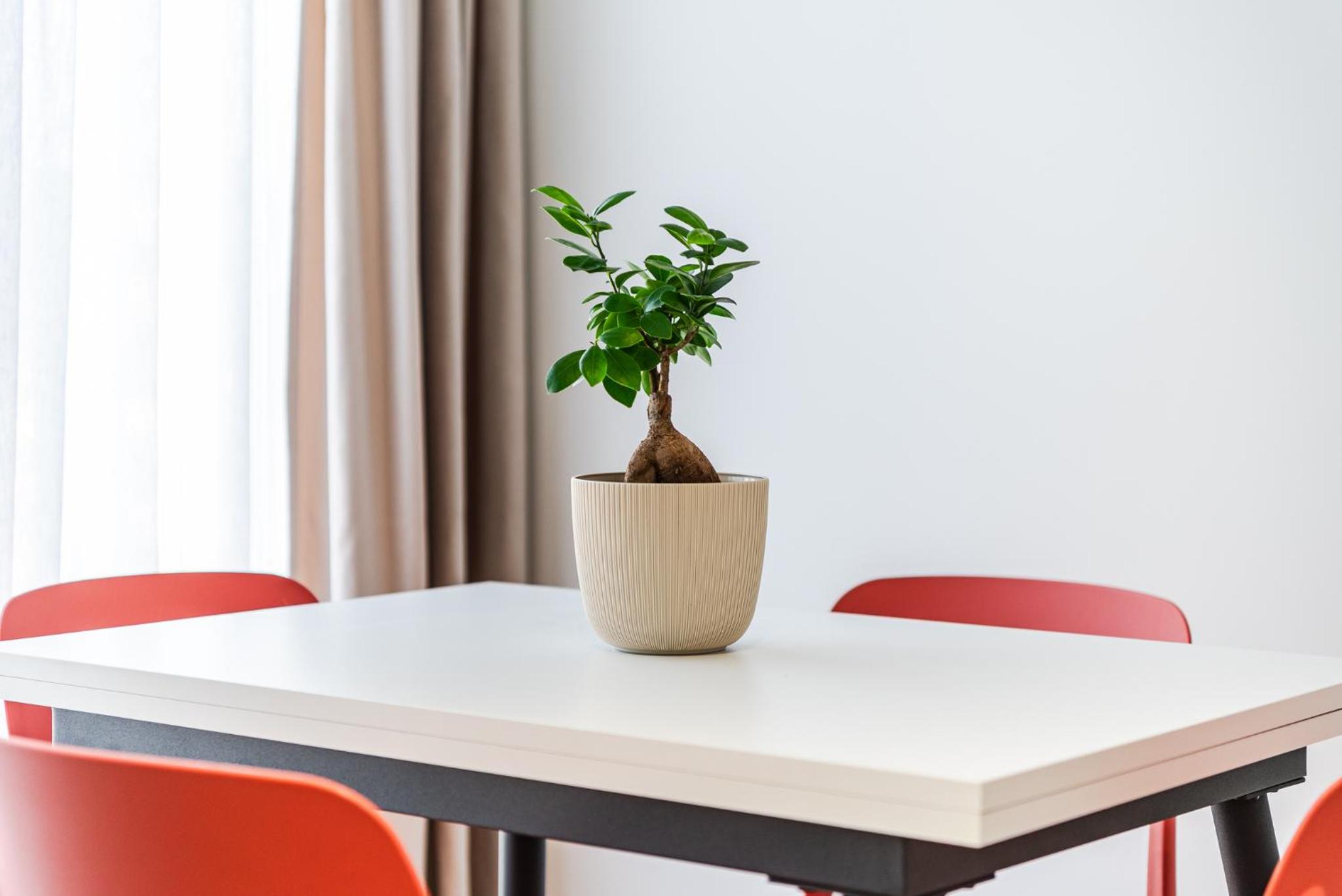 8th Floor Apartments, Golem