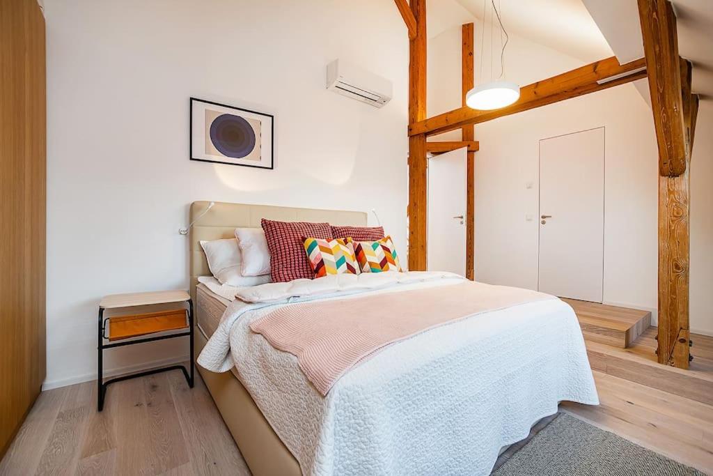 Fantastic Attic Apt with big Terrace