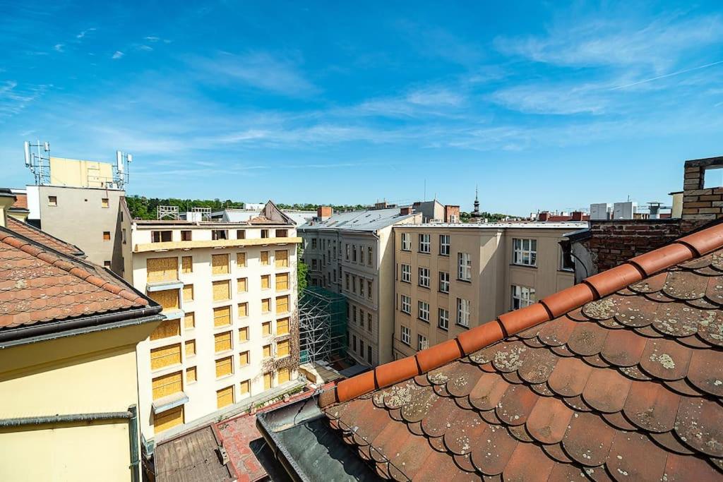 Fantastic Attic Apt with big Terrace