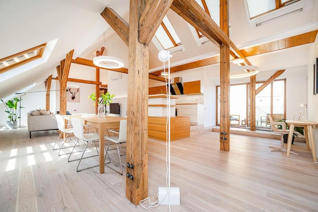 Fantastic Attic Apt with big Terrace