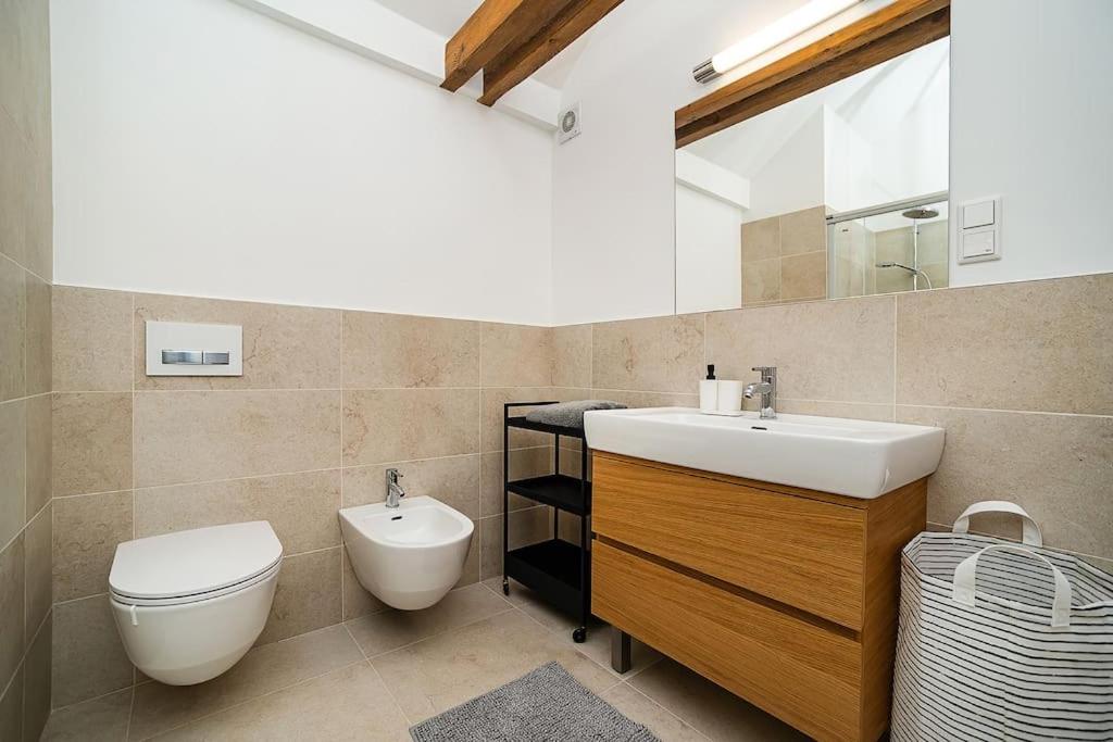 Fantastic Attic Apt with big Terrace